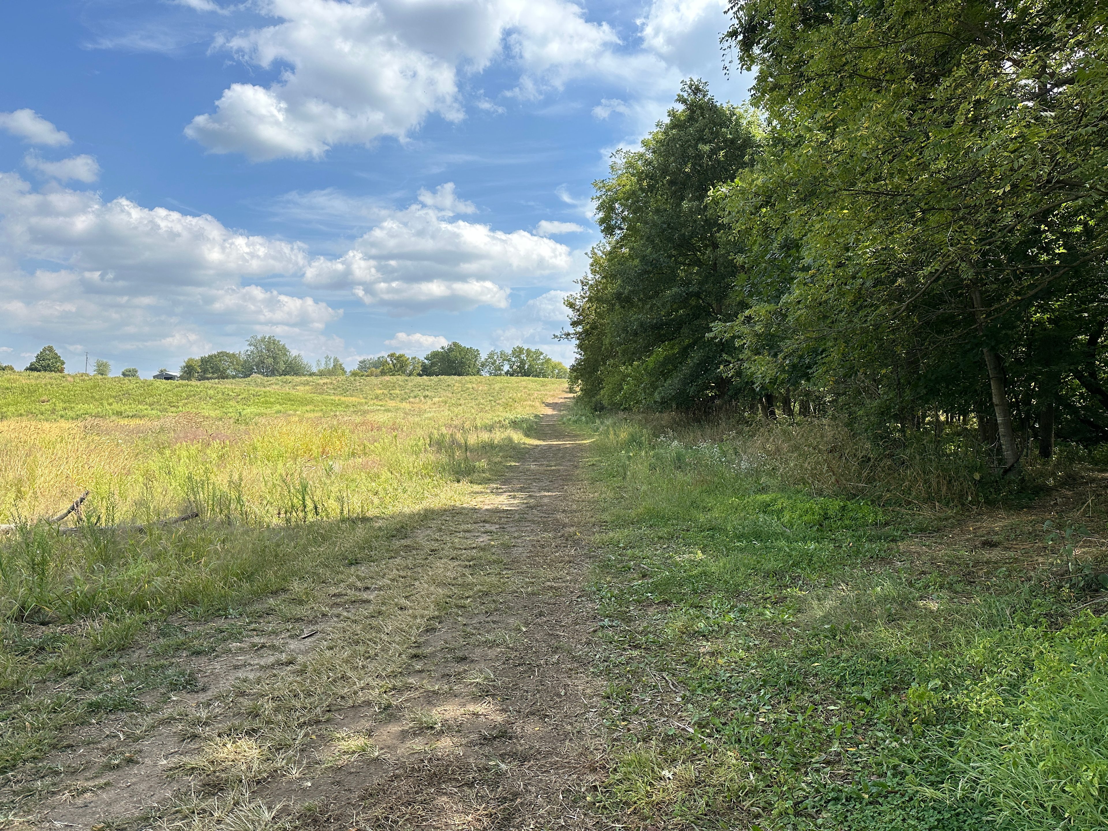 Backwoods River Camp WFBranch StJoe