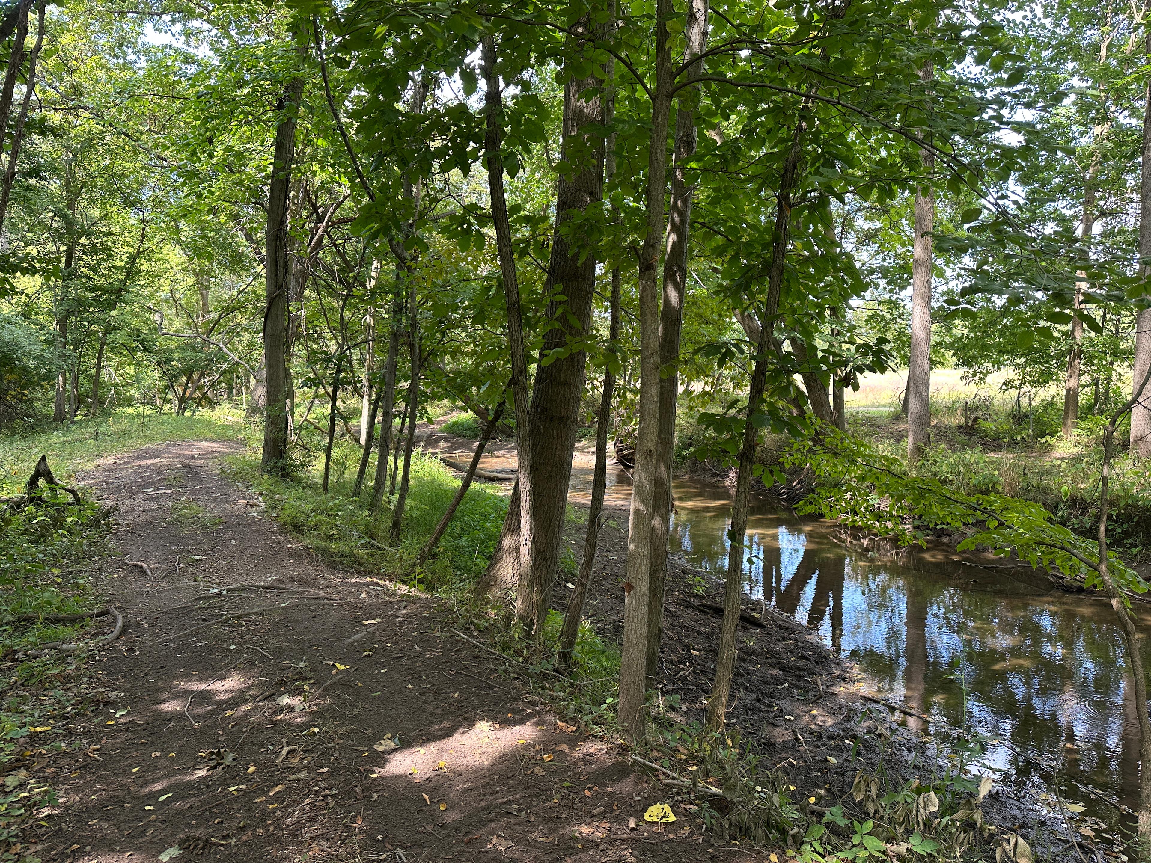 Backwoods River Camp WFBranch StJoe