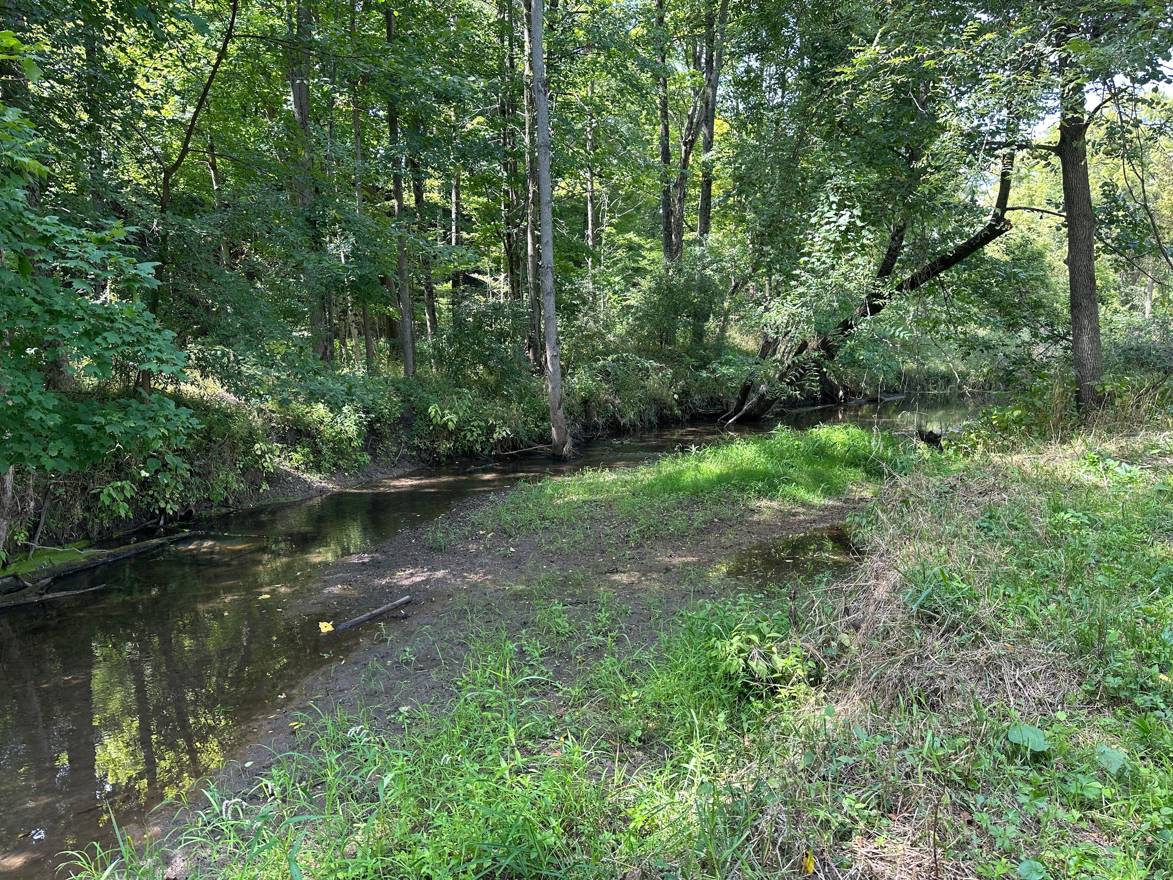 Backwoods River Camp WFBranch StJoe
