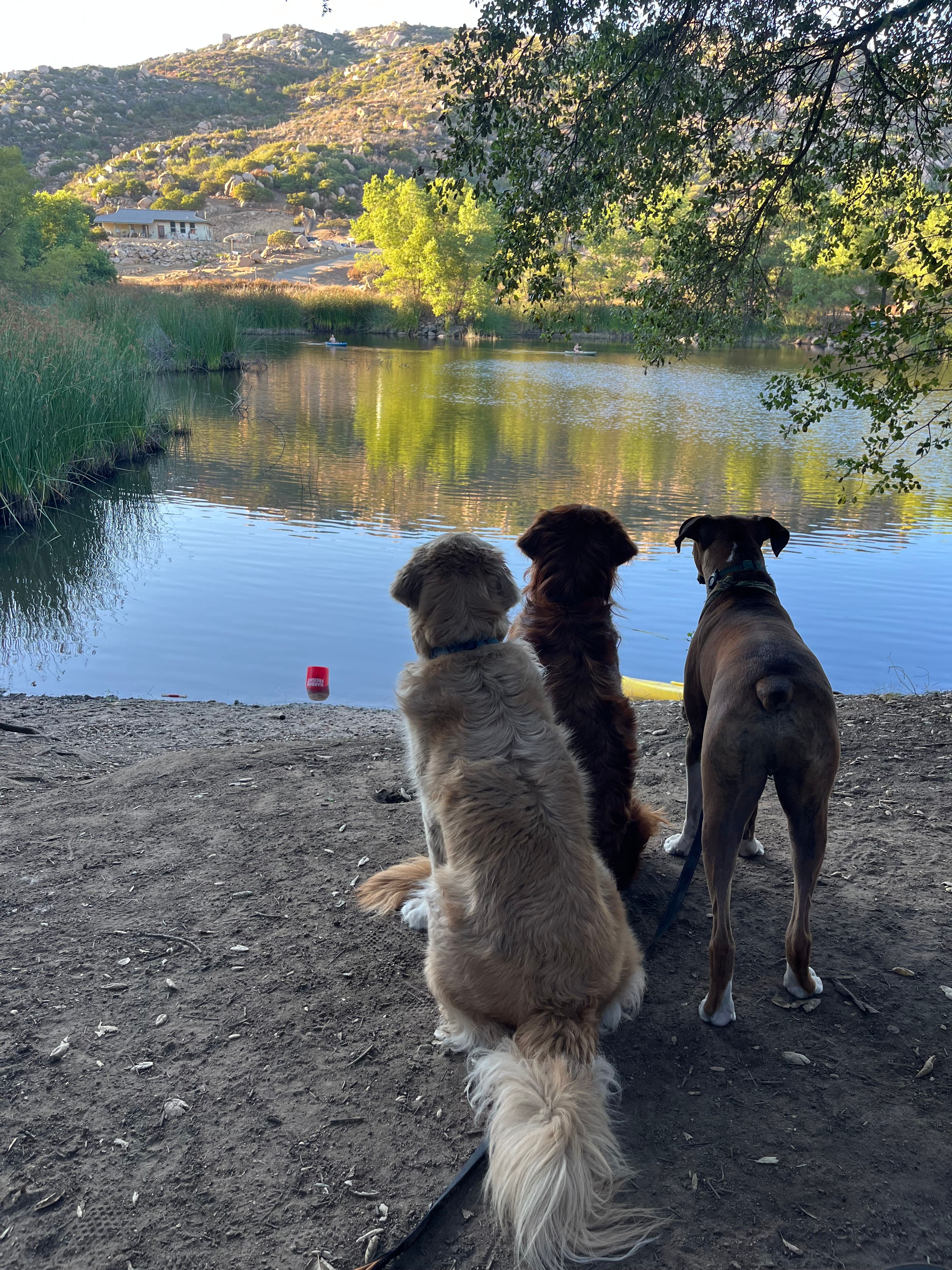 Hidden Lake