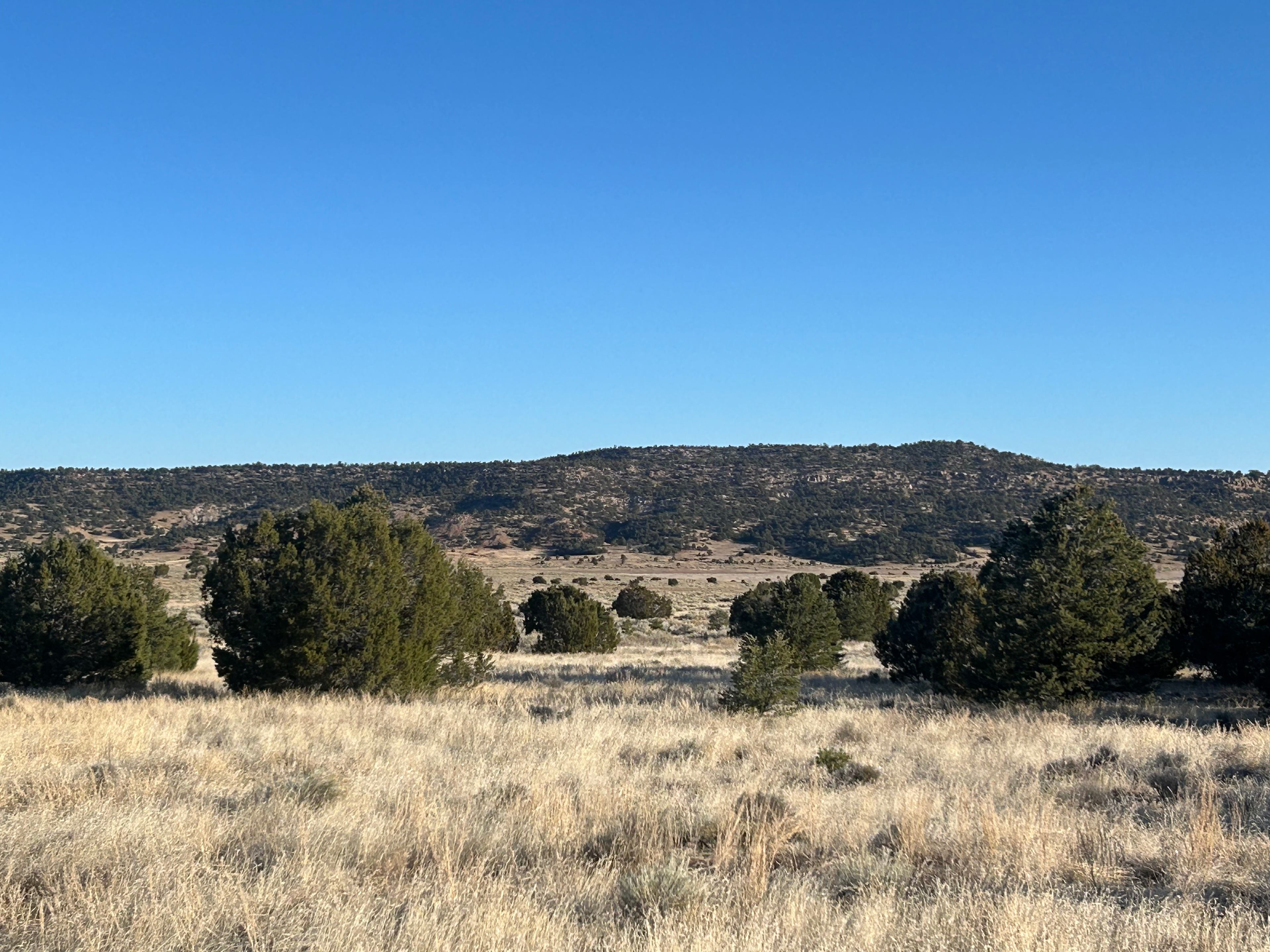 Blue Water Camp And Boondocking