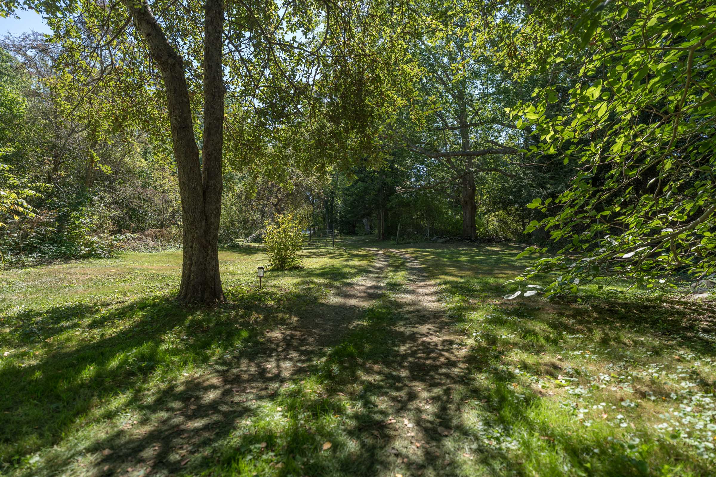 The road to the river