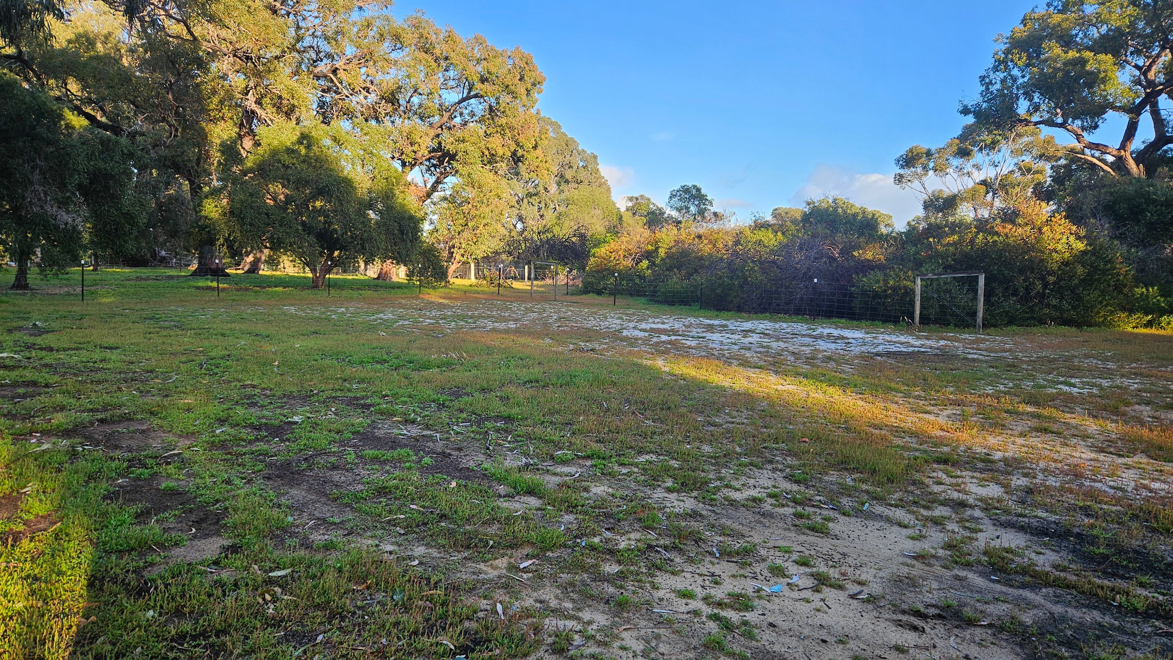 Tranquillity On Tuart