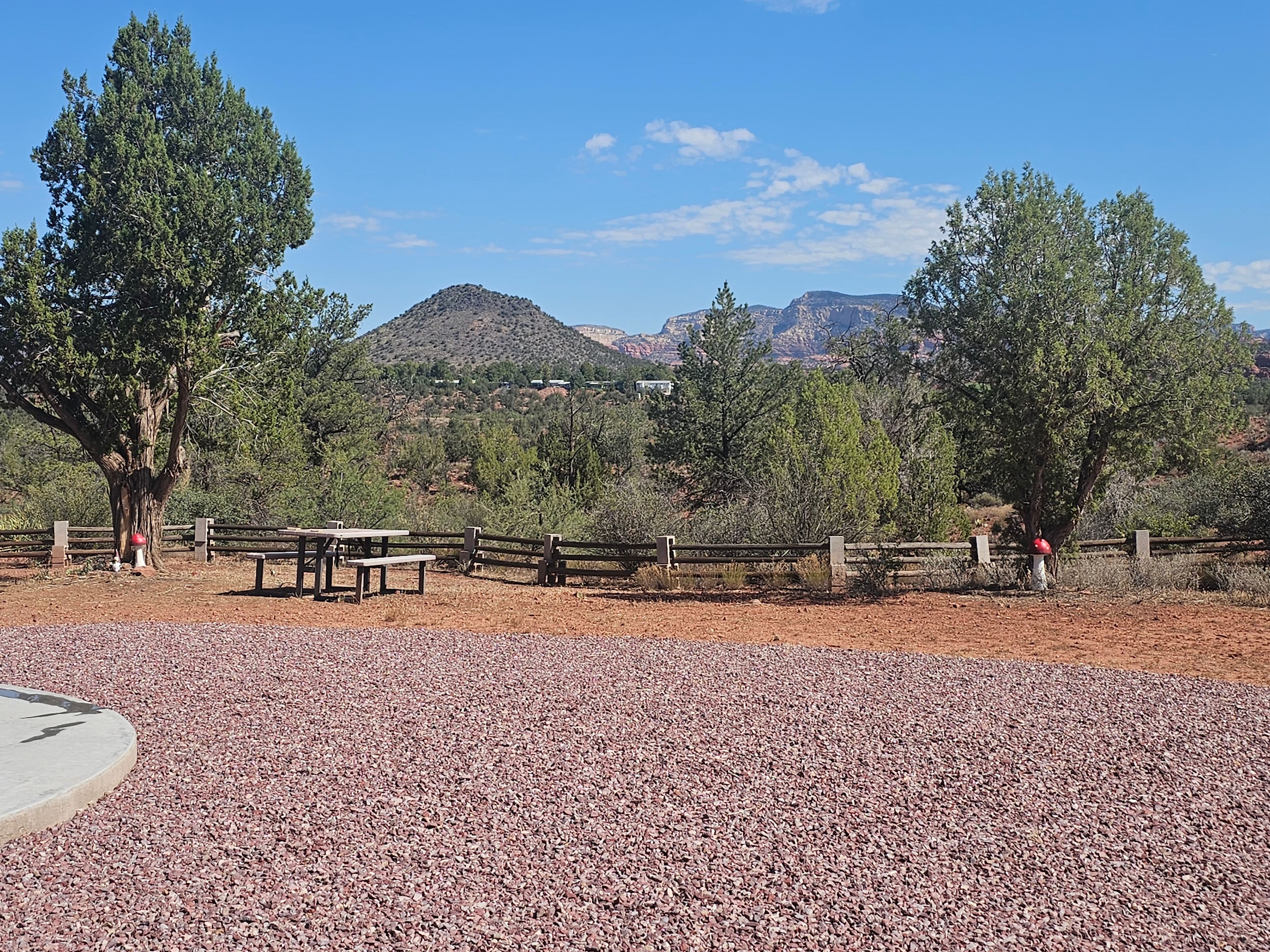 Backyard for viewing and fire pit