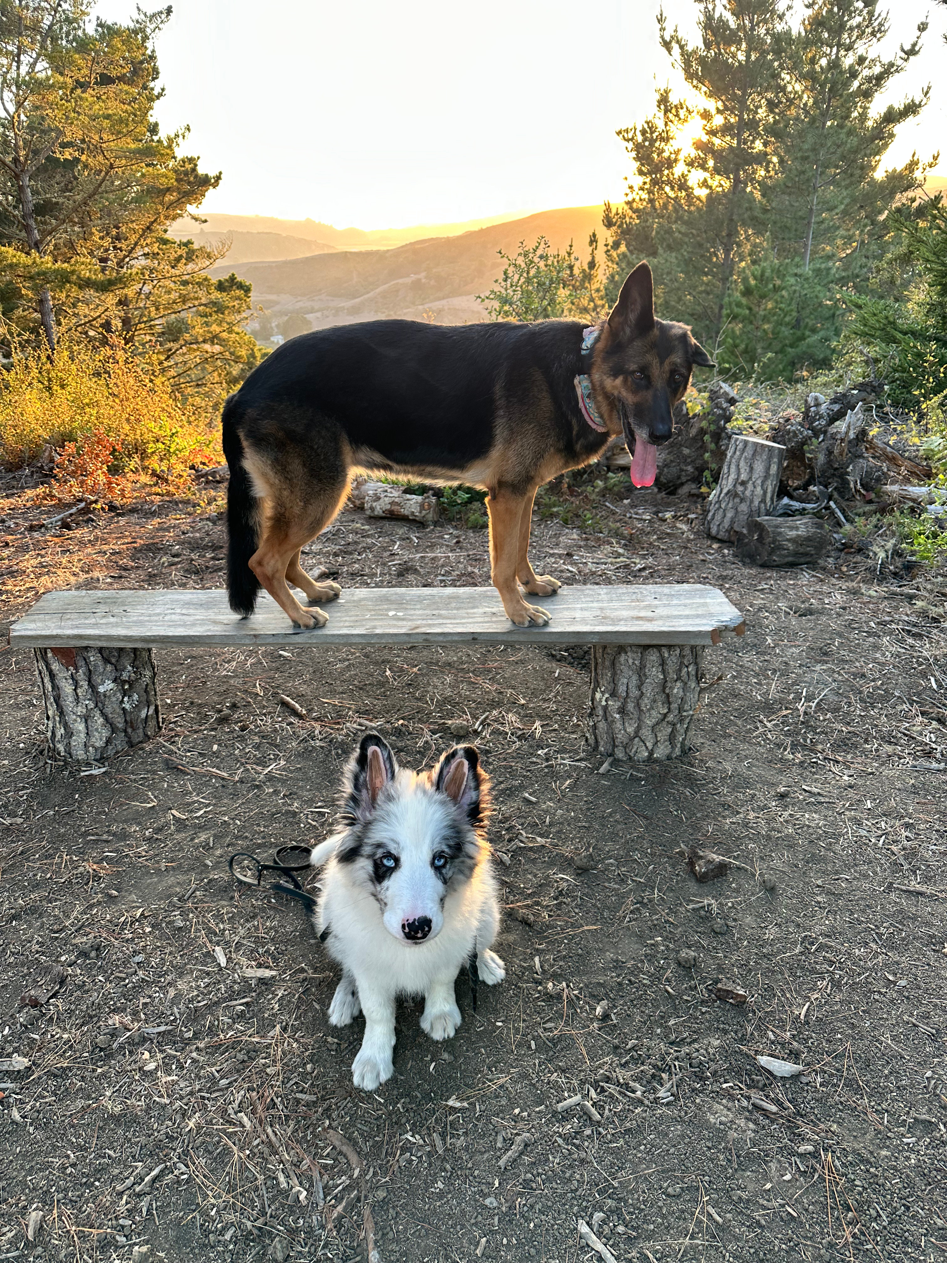 Ridgetop Bench at Sunset