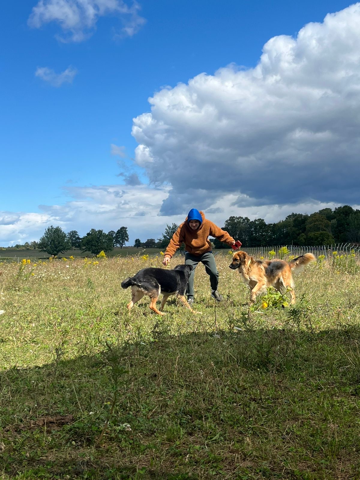 Greener Pastures Eco Farm