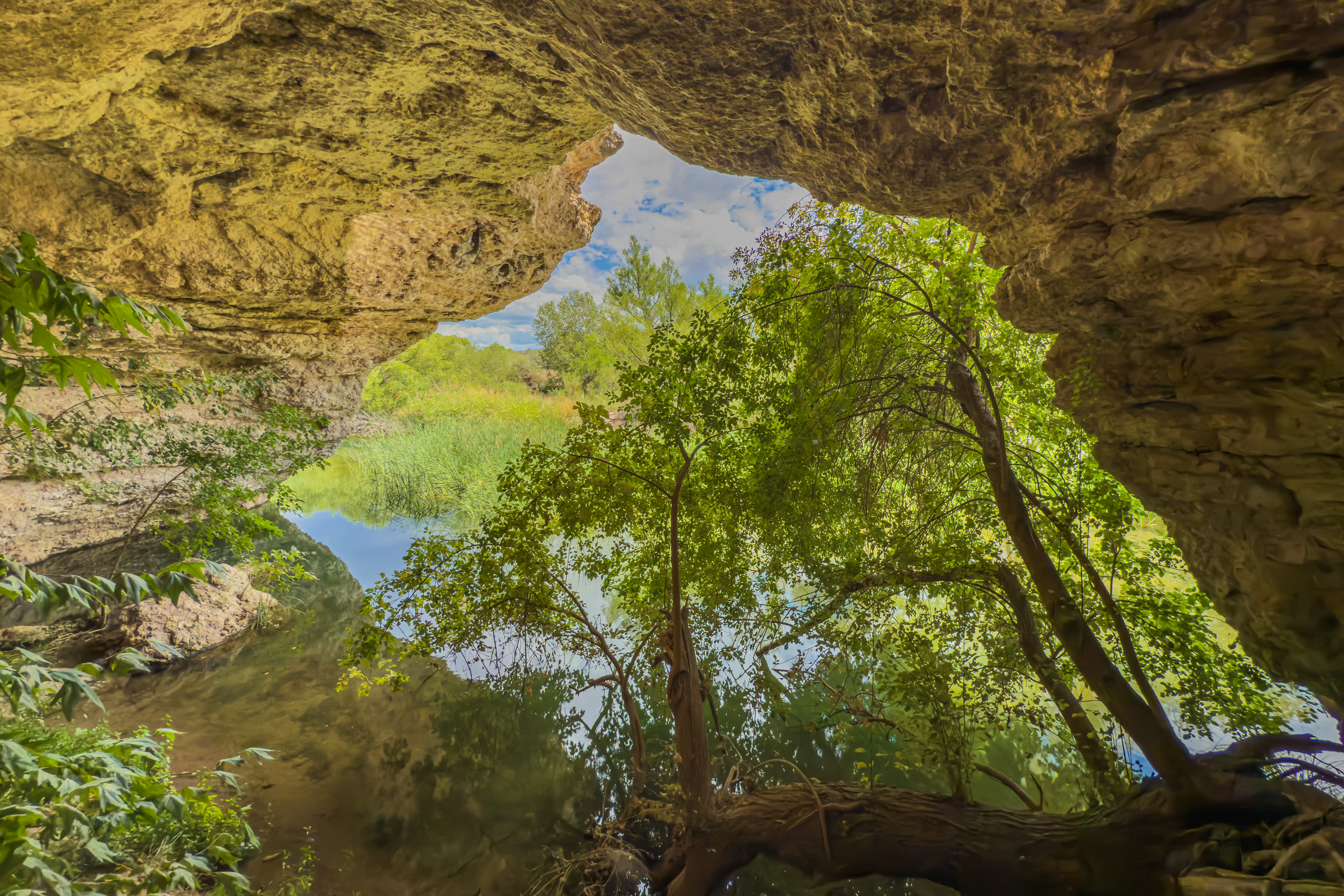 Sacred Springs-Private creek access