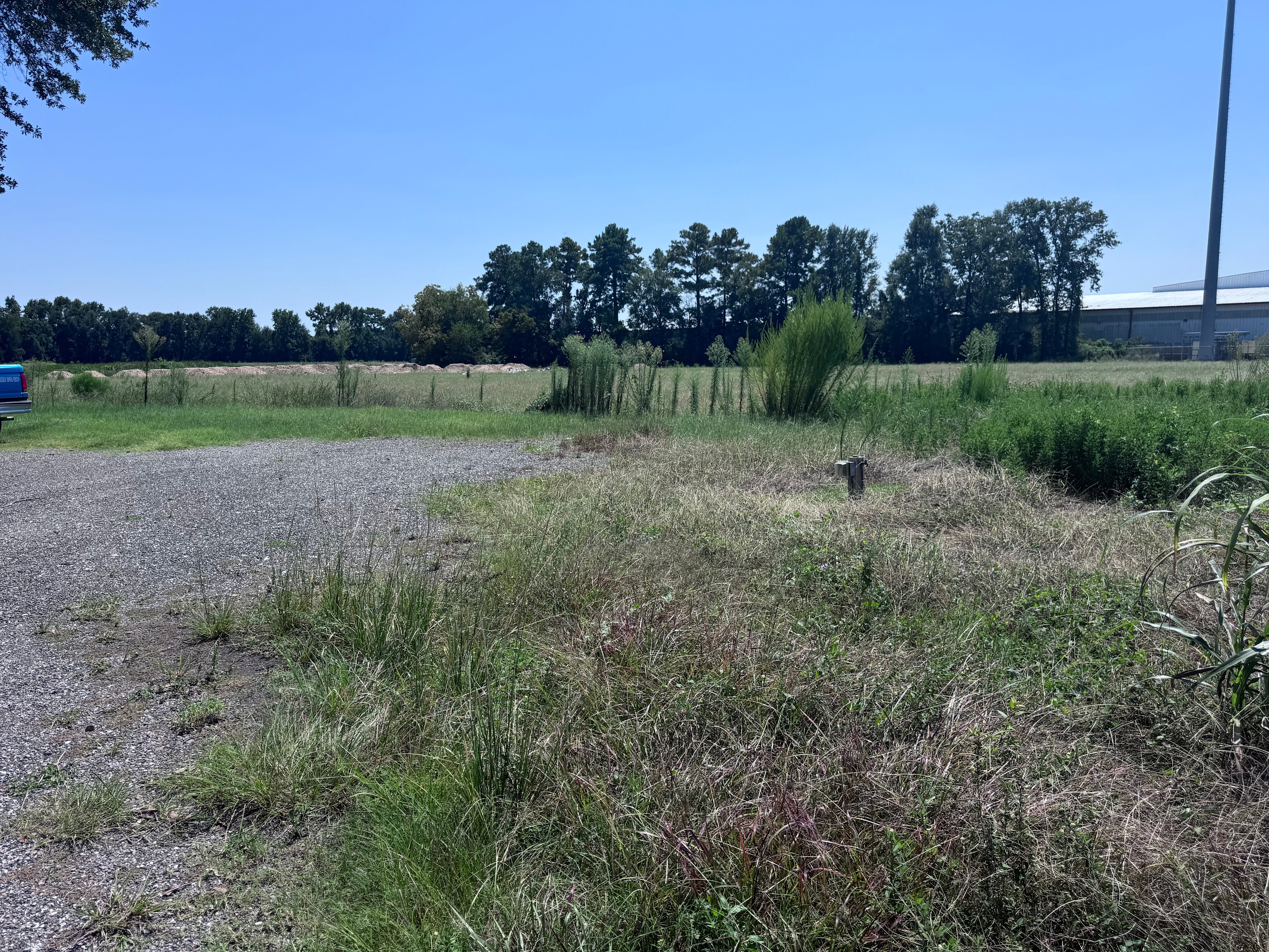 Murder Of Crows Camp