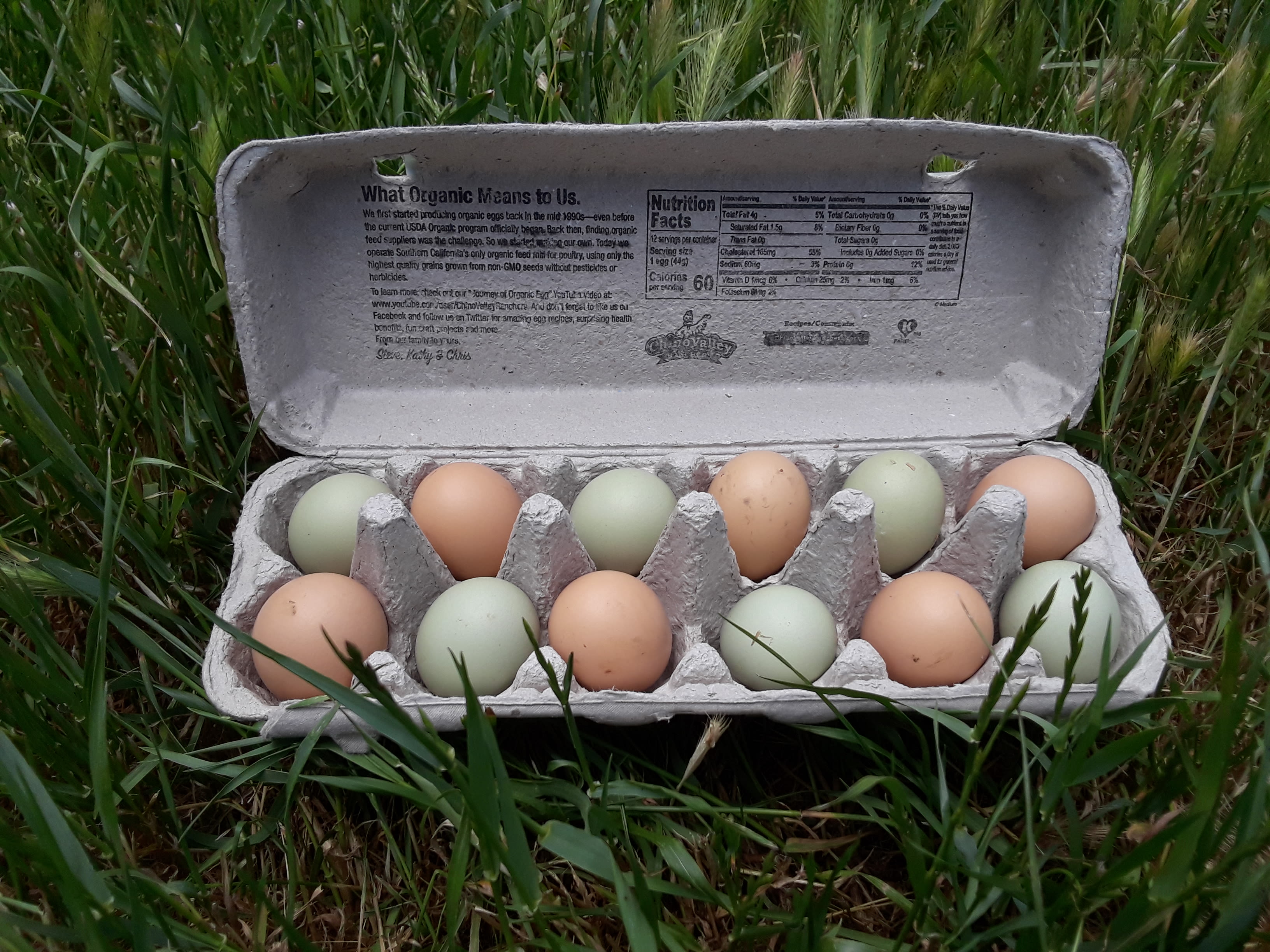 Farm fresh eggs, when available, free-range pasture raised, $7/dozen