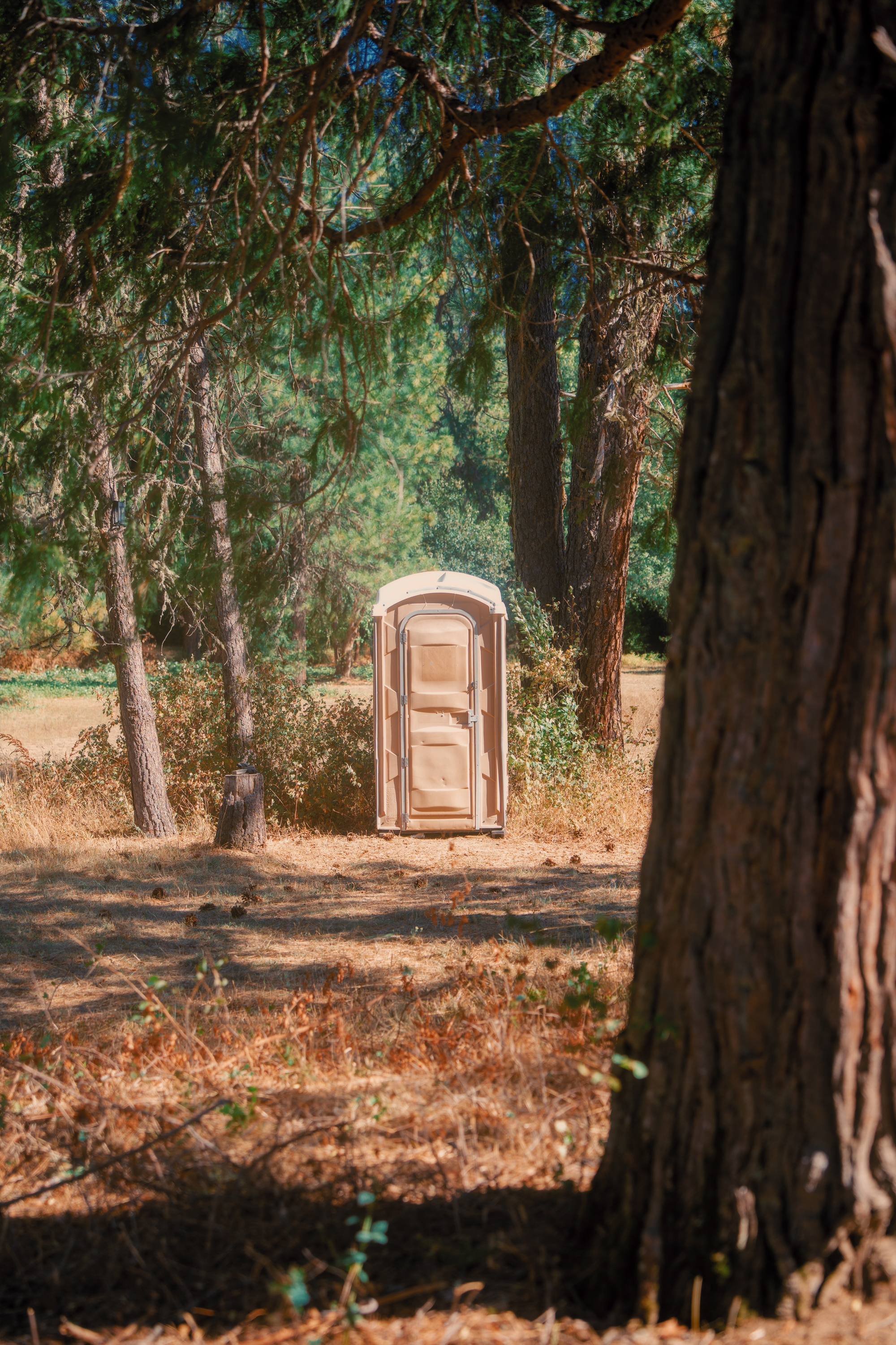 Practical but essential 🫡 A few scattered around the site. Just remember your TP!