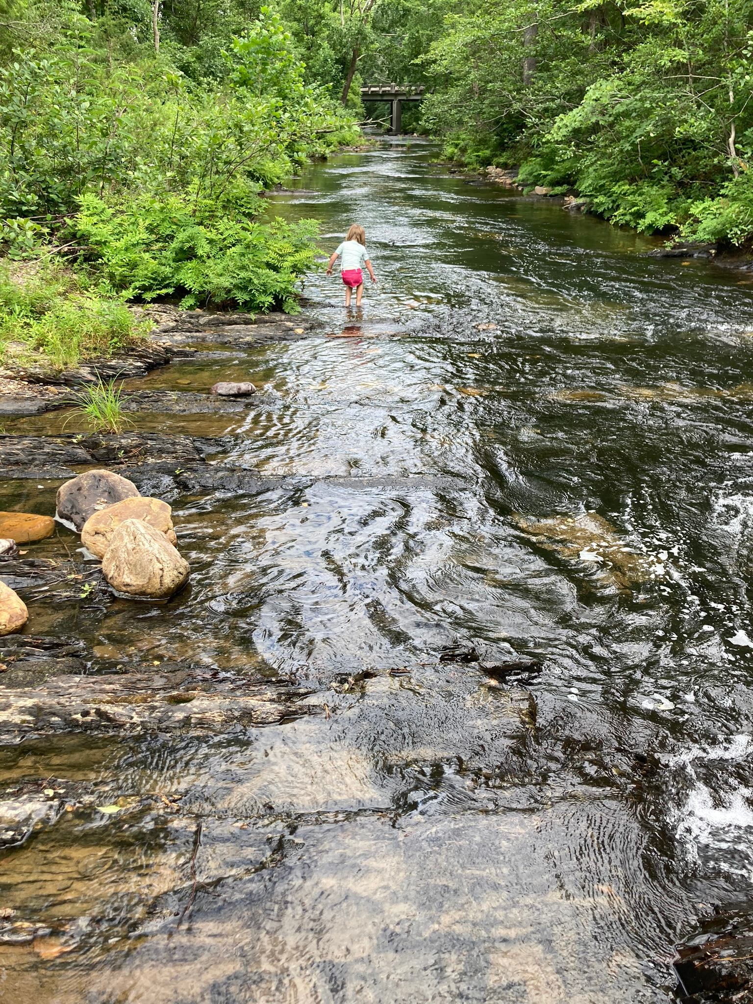 Crazy Coop Of Wilson Creek