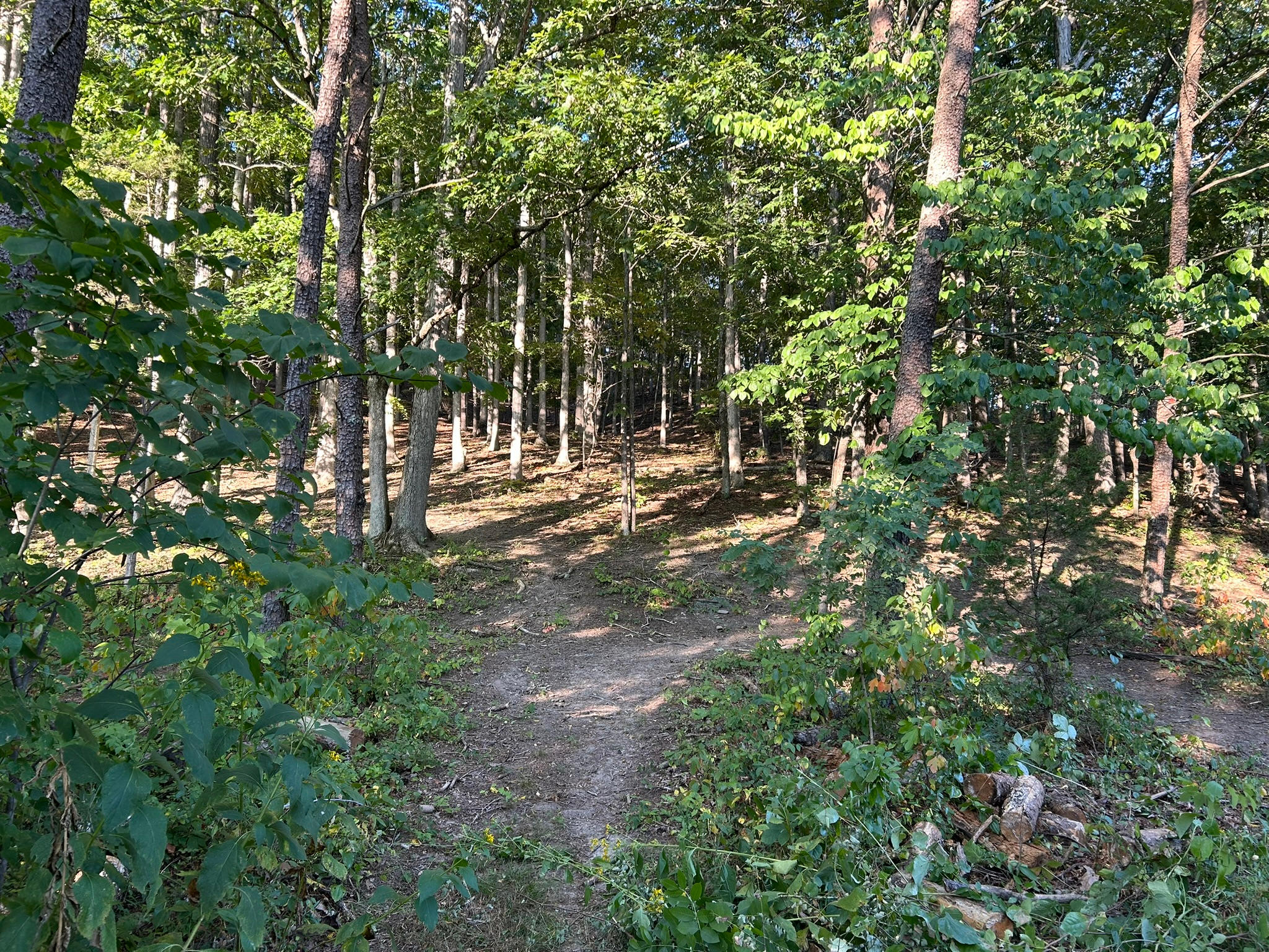 Crazy Coop Of Wilson Creek