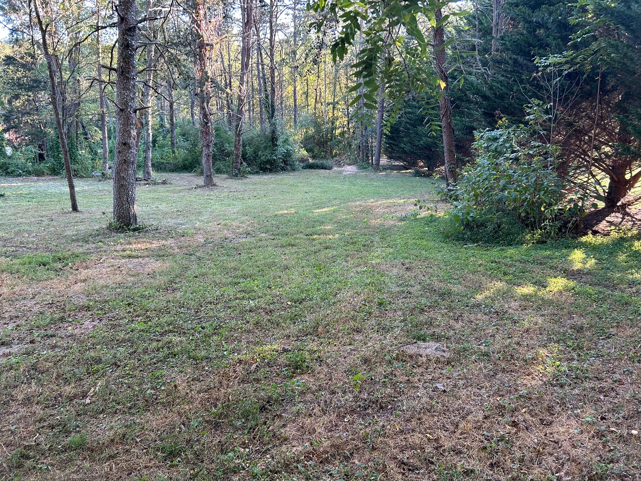 Crazy Coop Of Wilson Creek