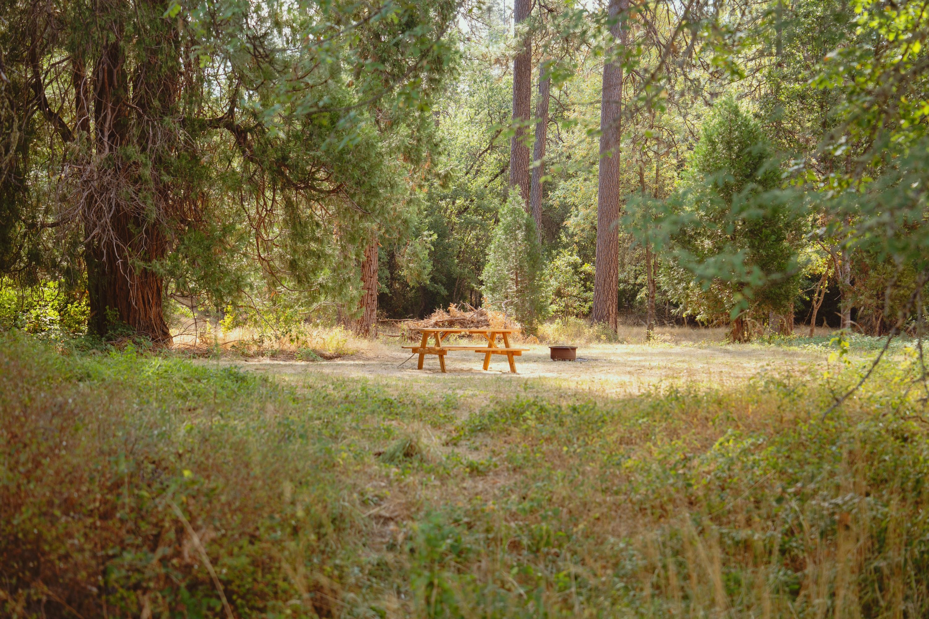 Prefer a little extra shade? The meadow sites are spacious, peaceful, and perfect for keeping cool while still being close to the creek.