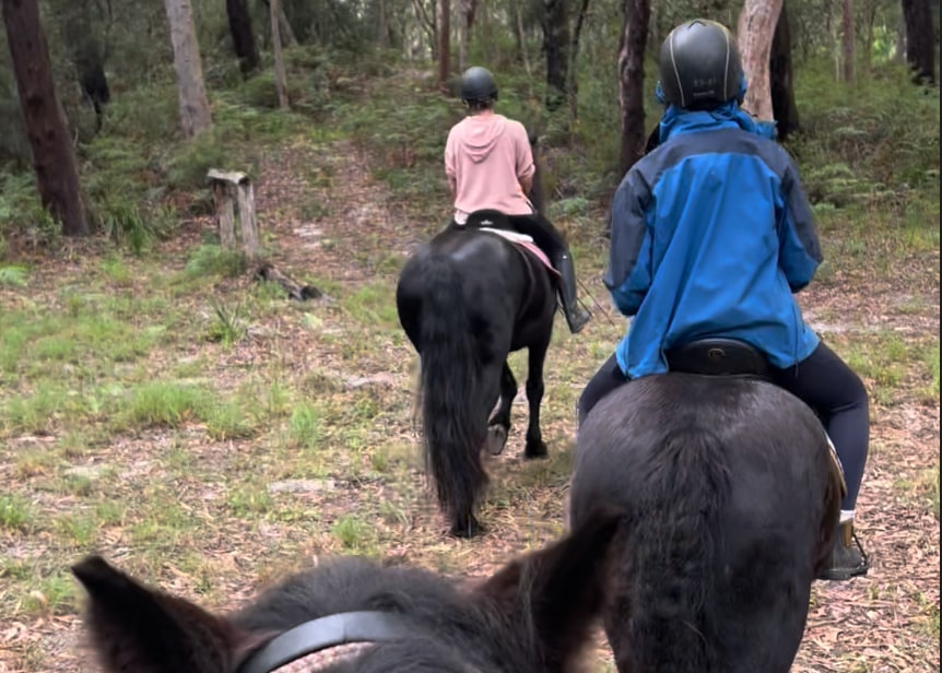 If you choose to bring your horse we have on-property bush trails