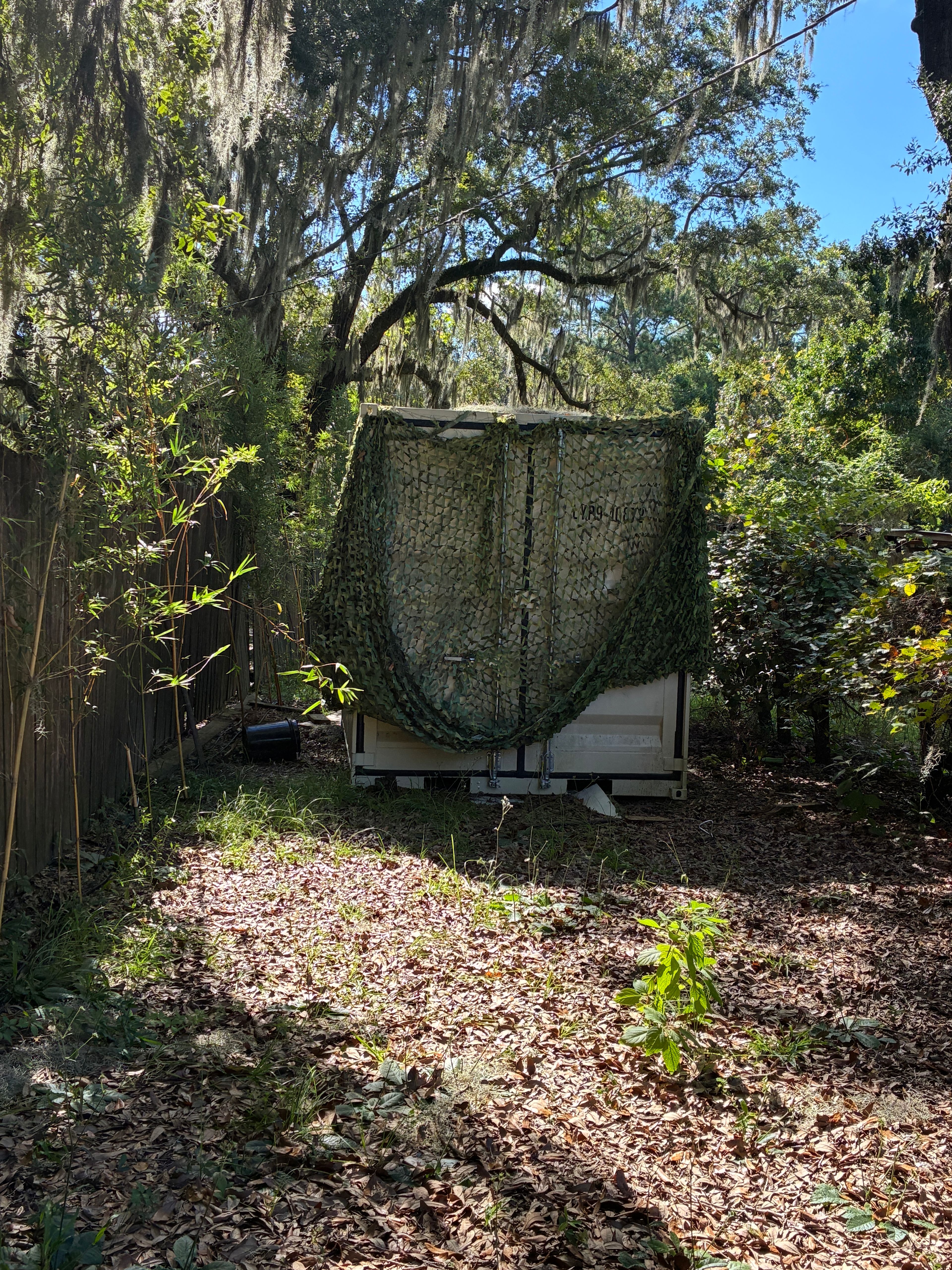 bee haven teeny tiny hive