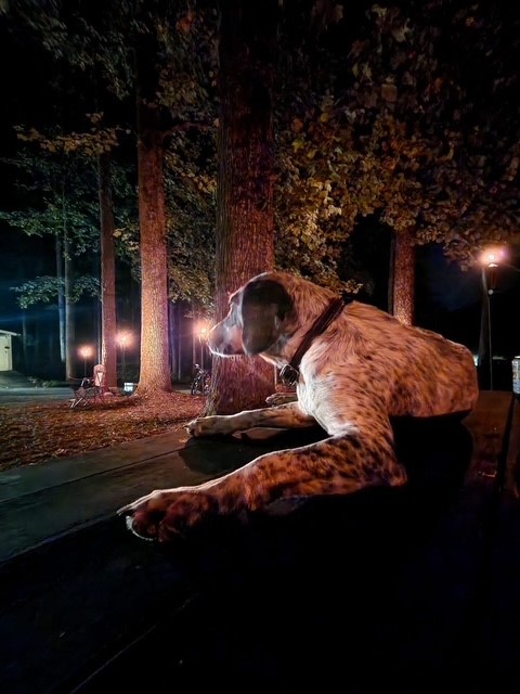 Dug Hill Moto & Outdo Shenanigans