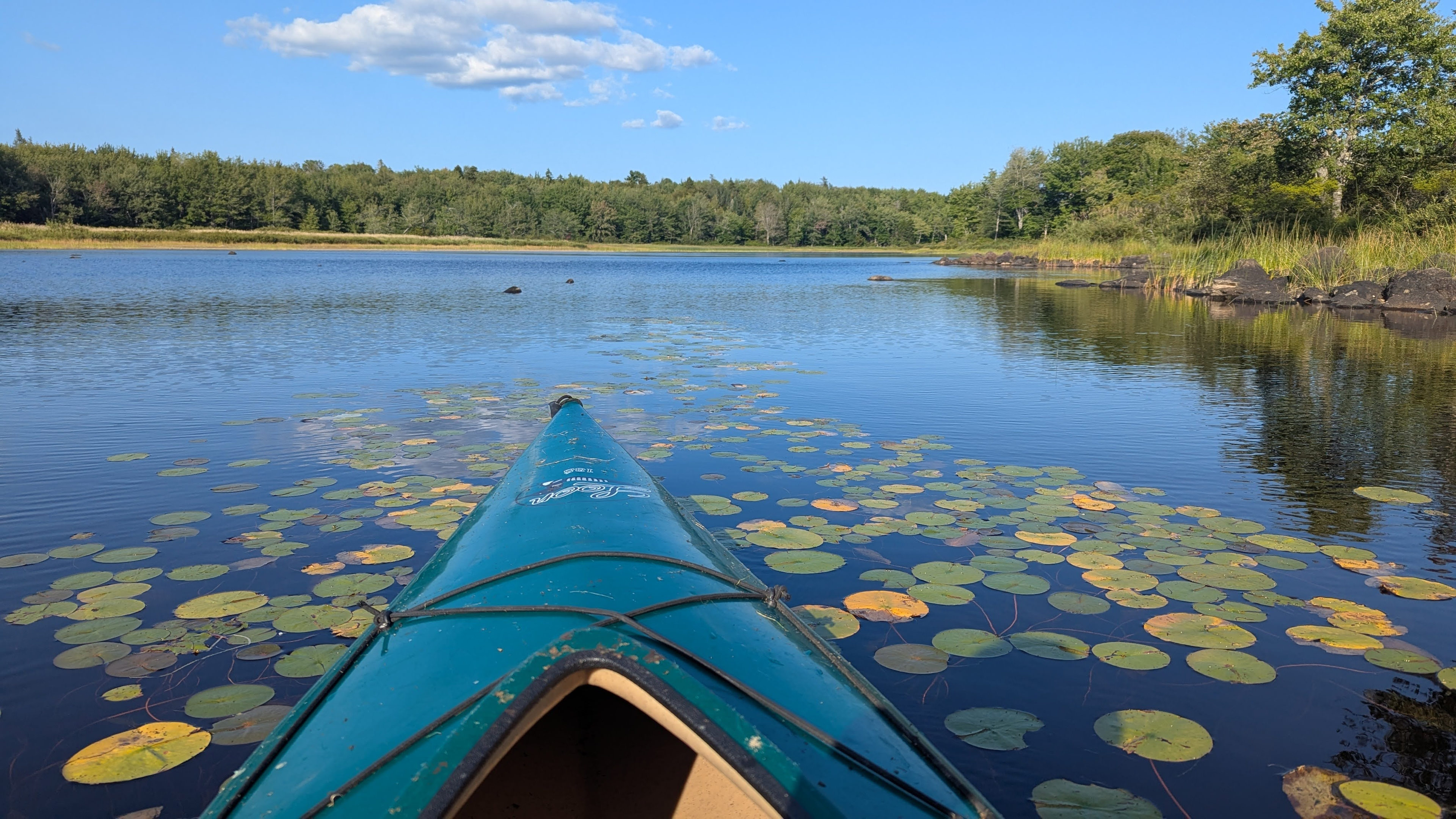 Bold Coast Base Camp