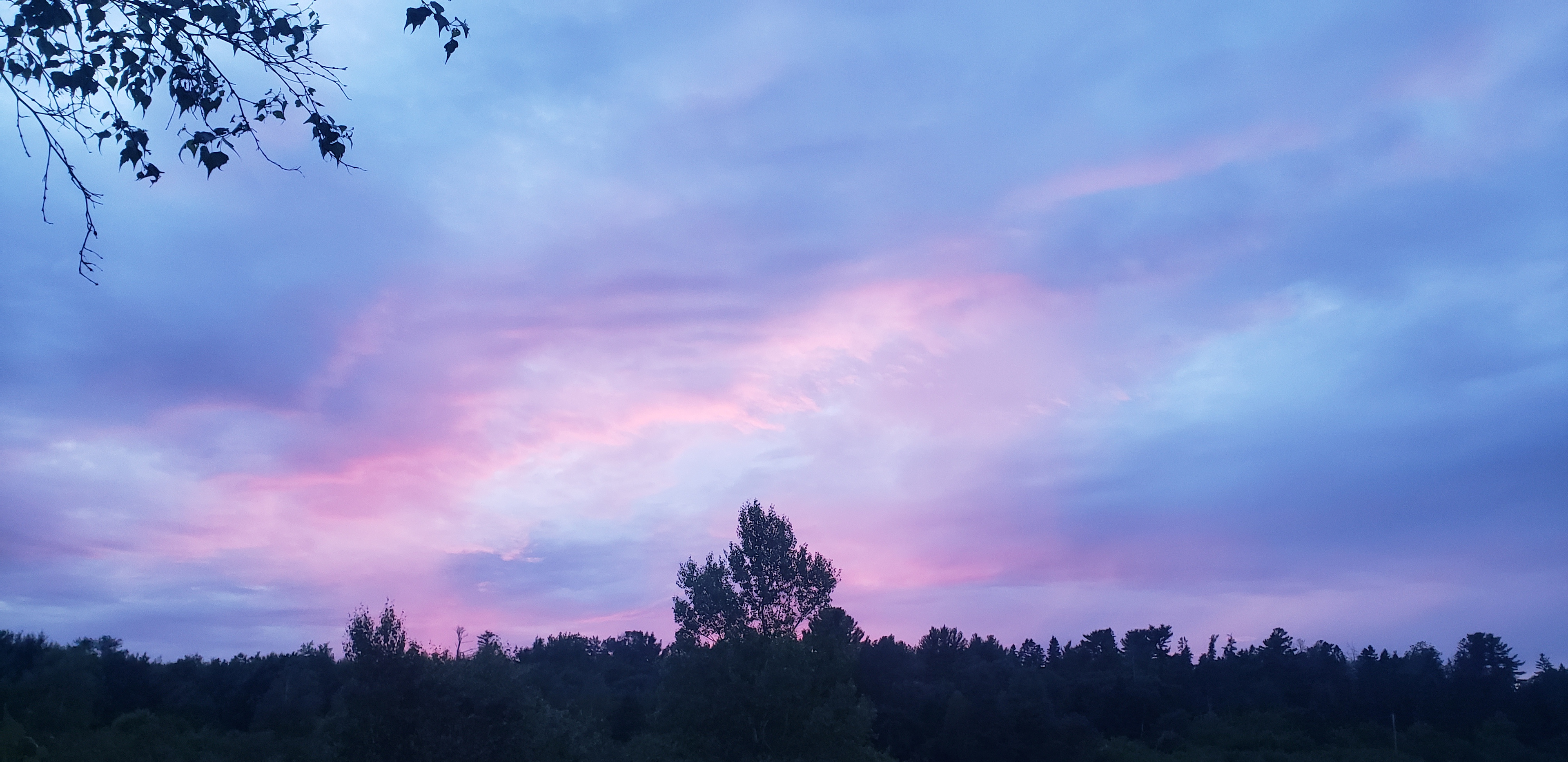 Bold Coast Base Camp