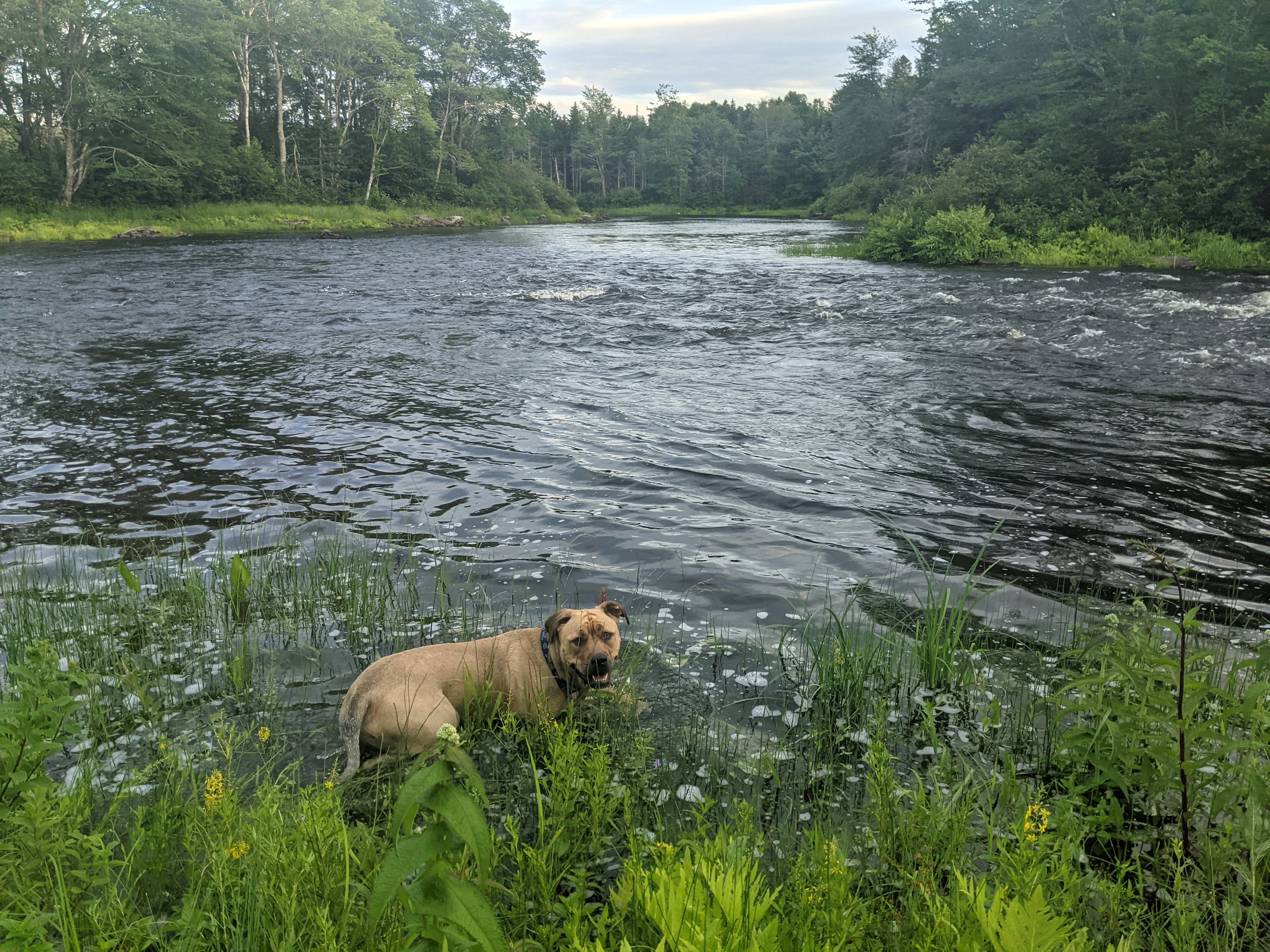 Bold Coast Base Camp