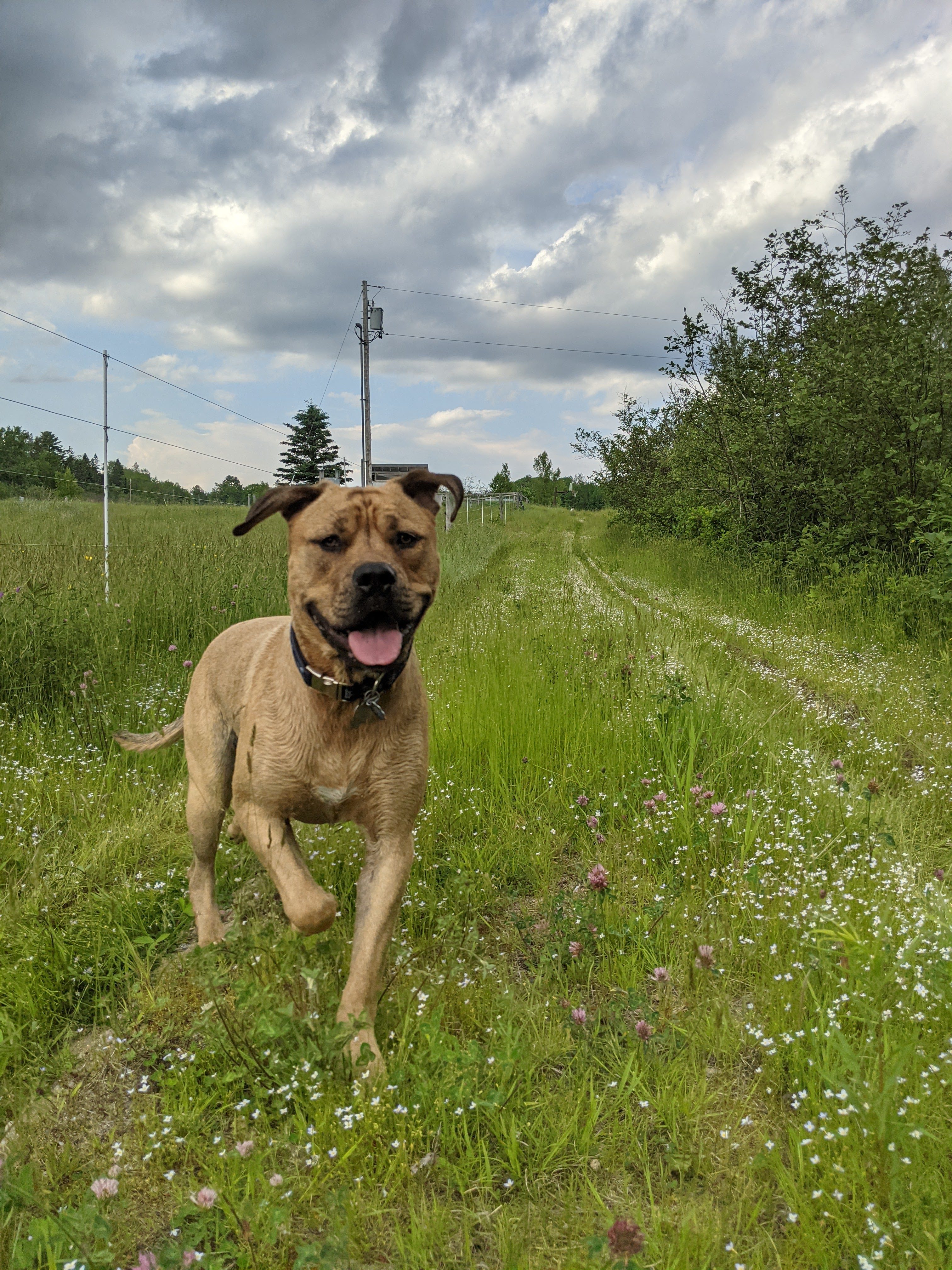 Bold Coast Base Camp