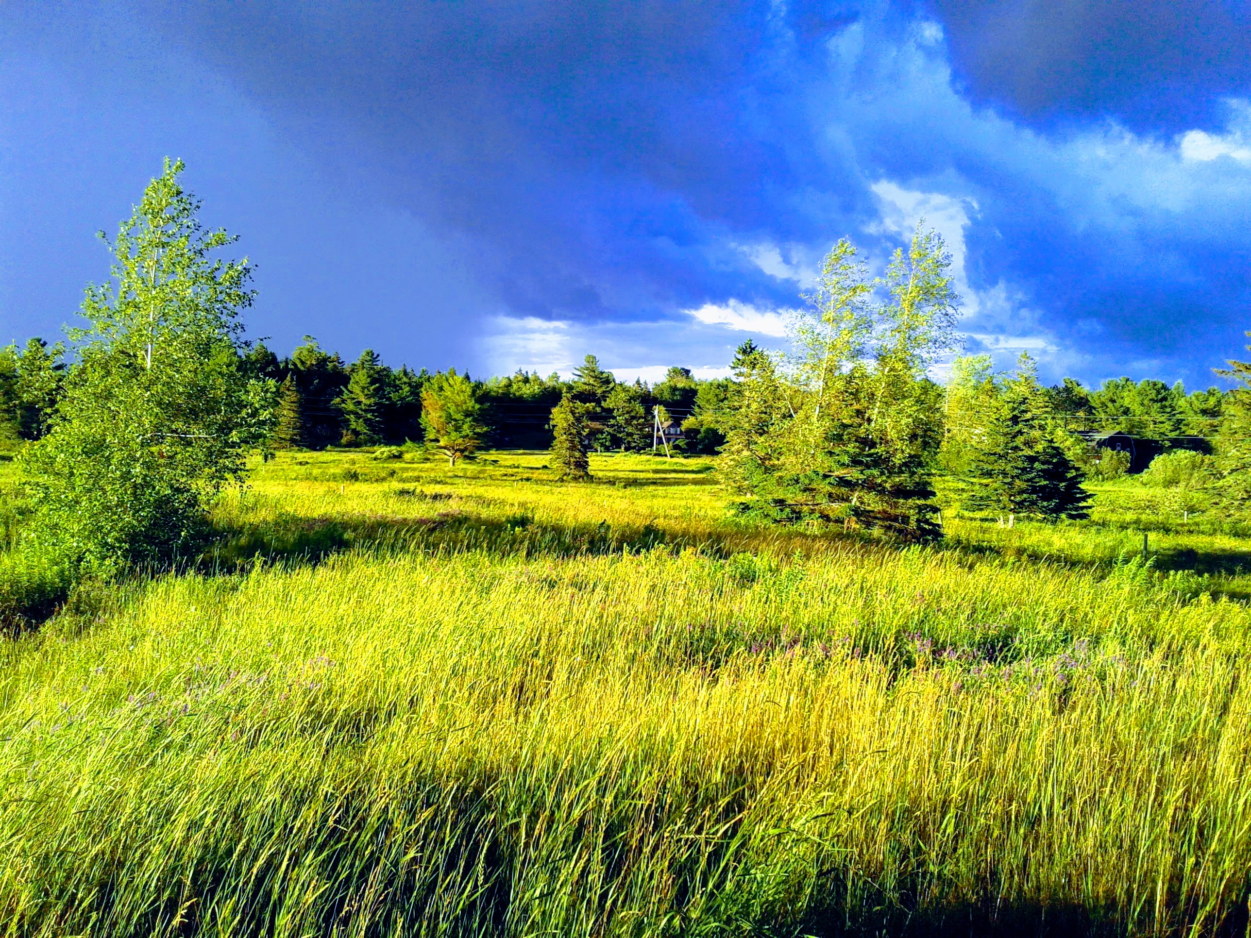 Bold Coast Base Camp