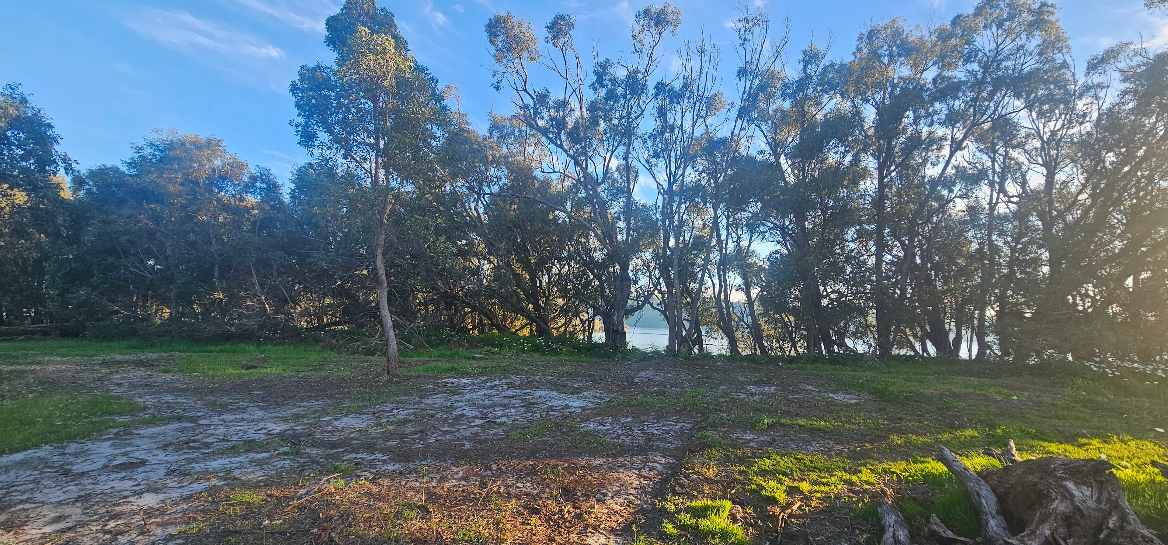 Ample room for multiple families on the same site. Perfect location for paddle boards and exploring the property. 