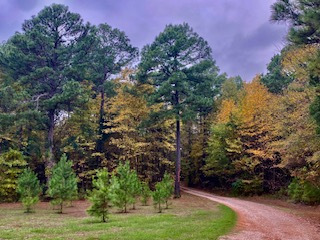Spiritual Retreat and Cntry Resort