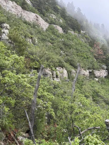 Mountain View Campgrounds