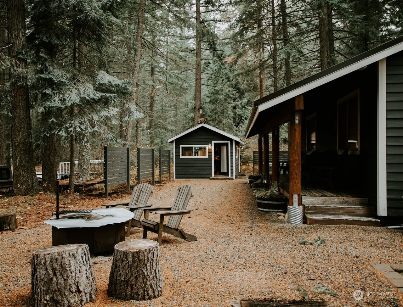 Driftwood Pines