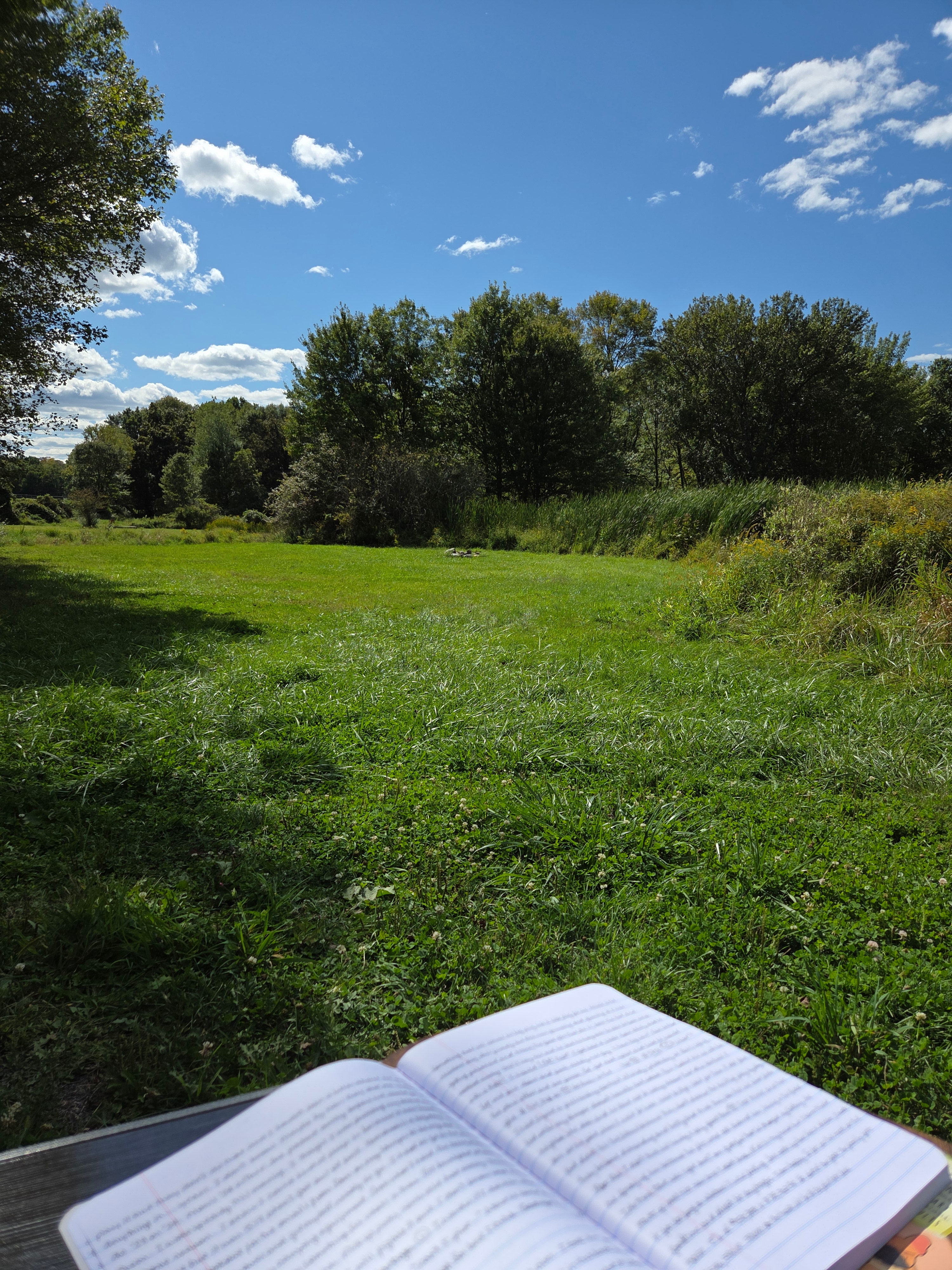 My view, what a place to journal!