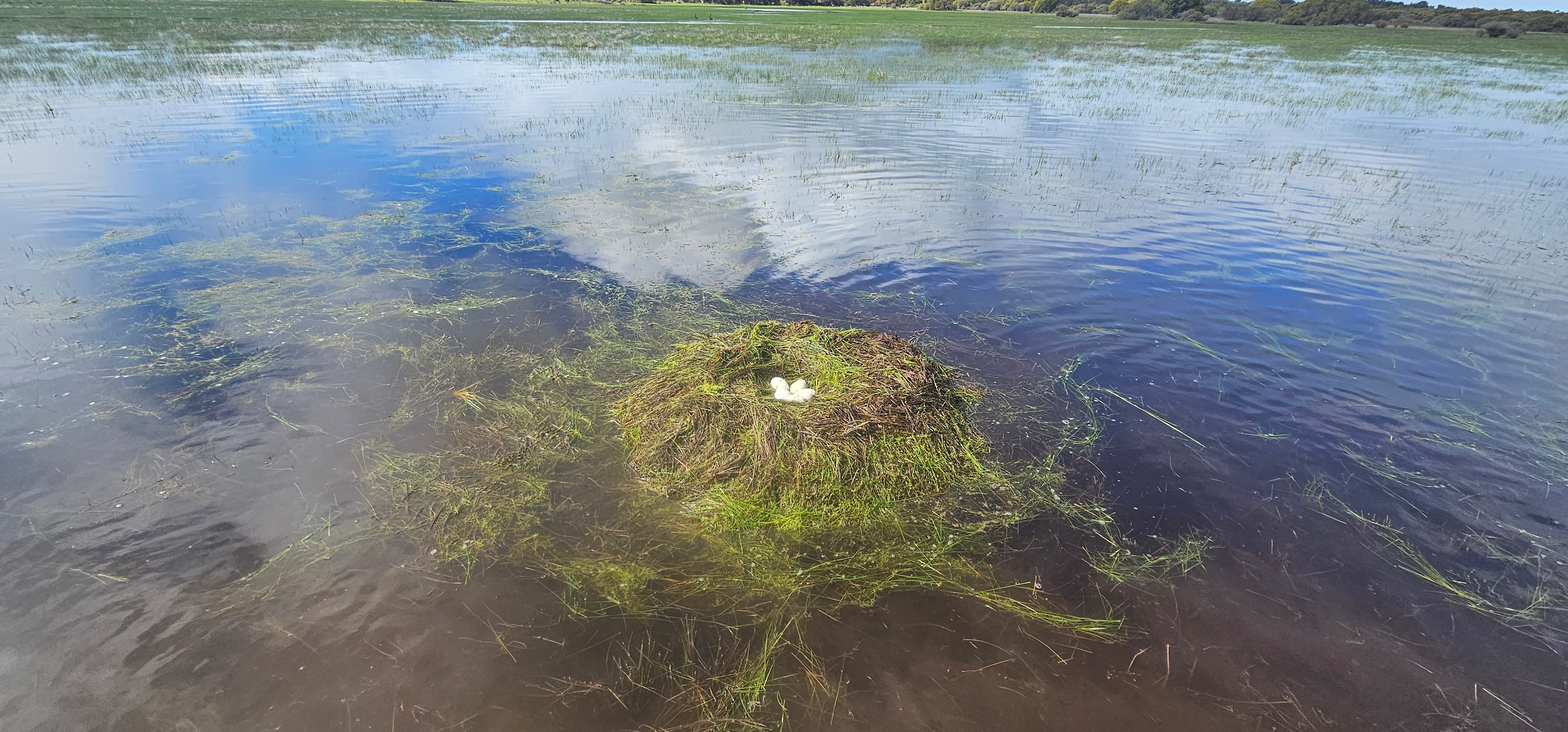 Herron Point Farm Stay