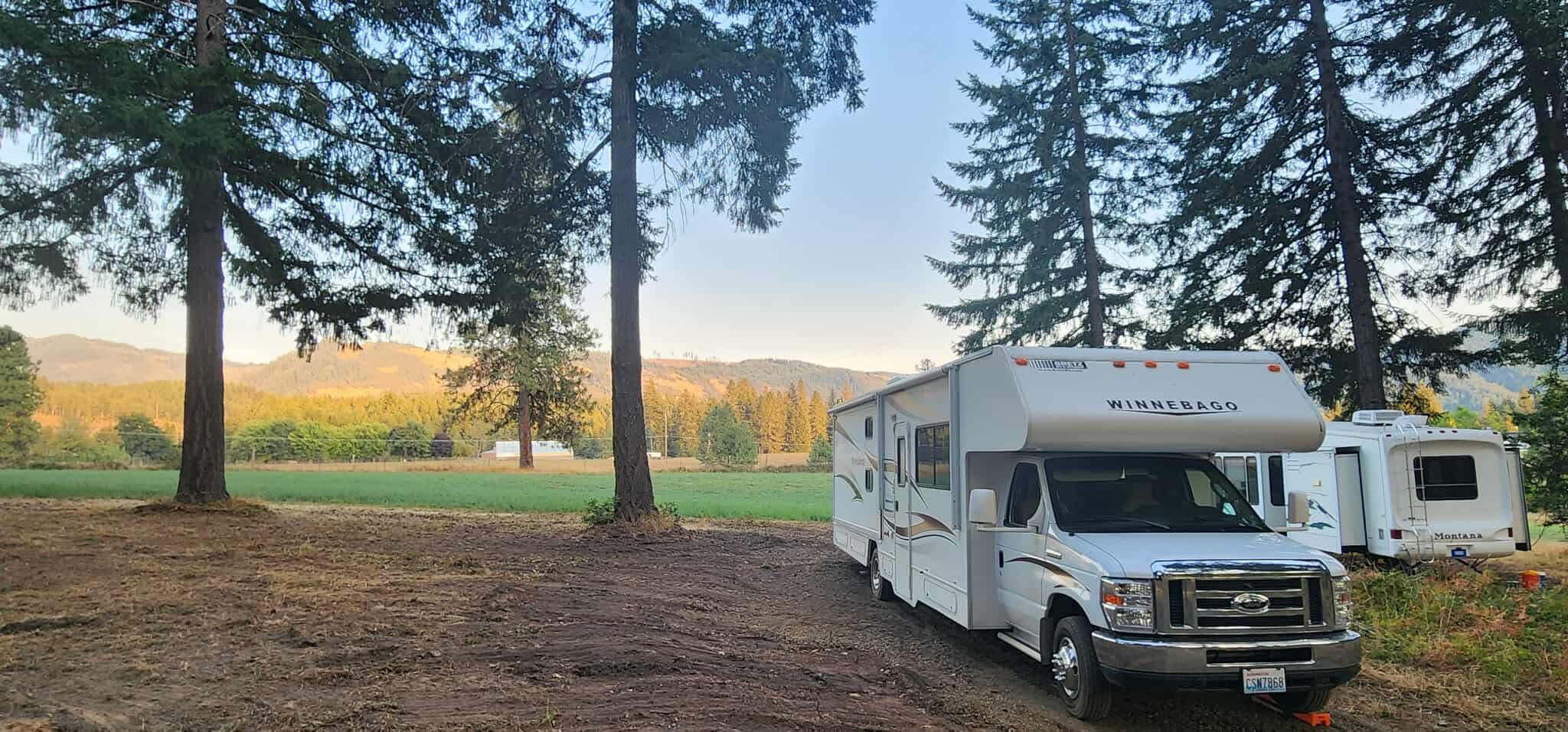 Forest Canopy Near Husum Launch