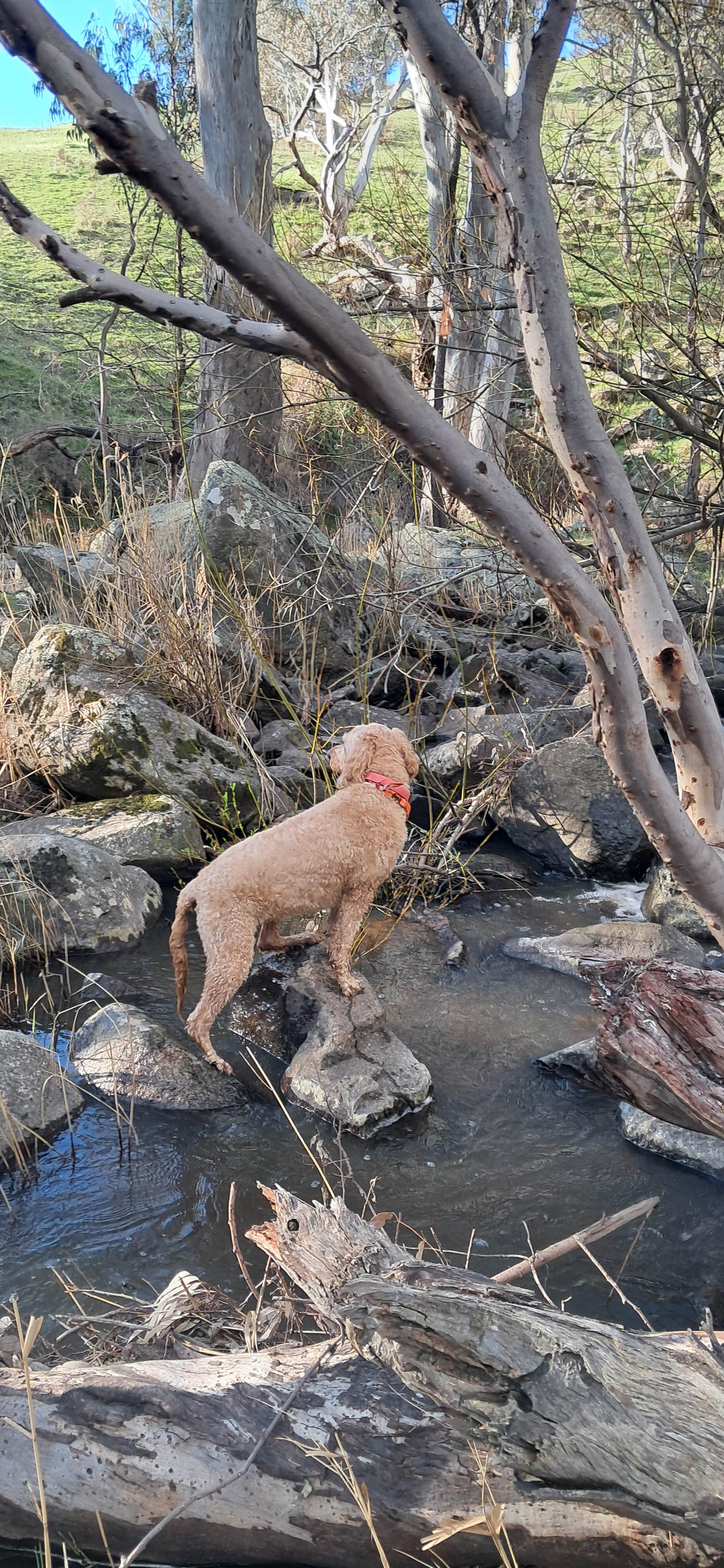 Glenmaye Farm – Creekside Camping