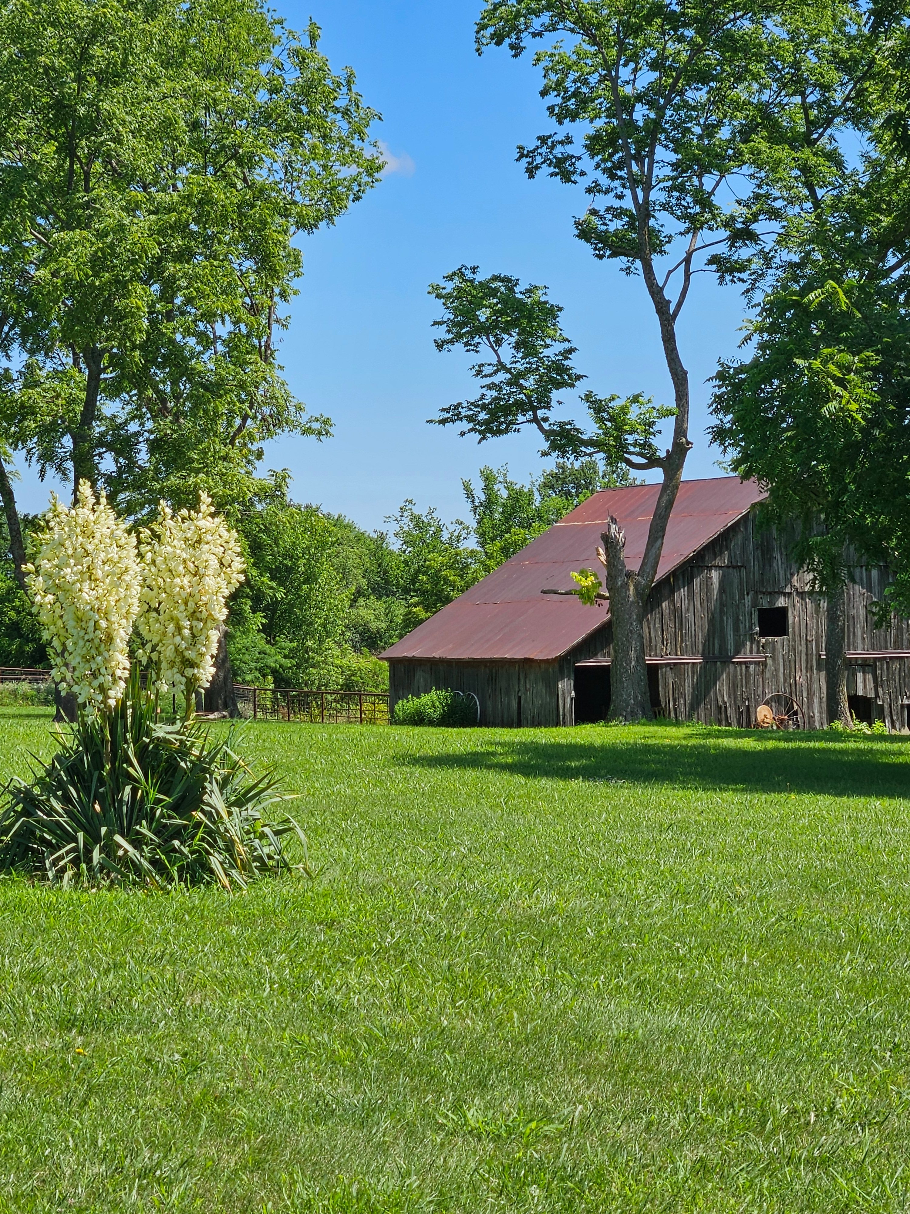 Shawnee Hitching Post