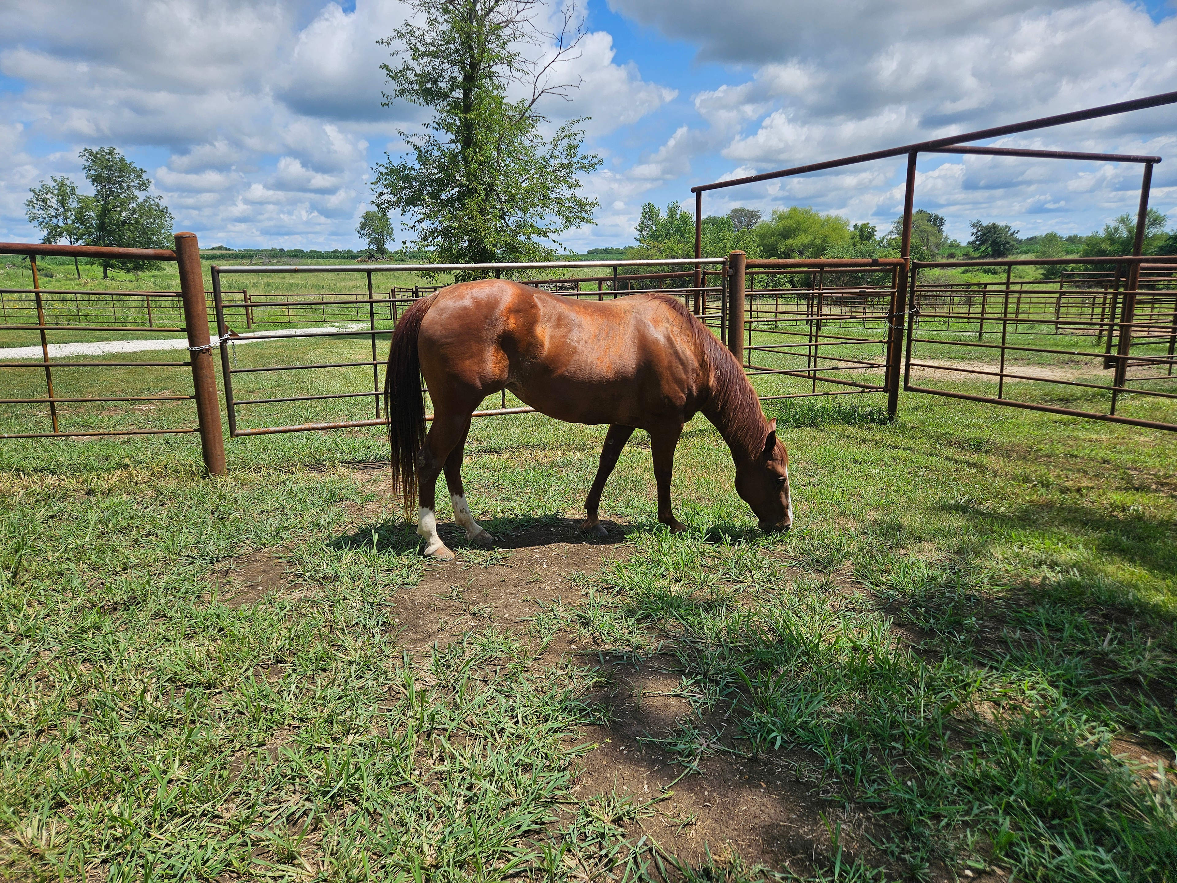Shawnee Hitching Post