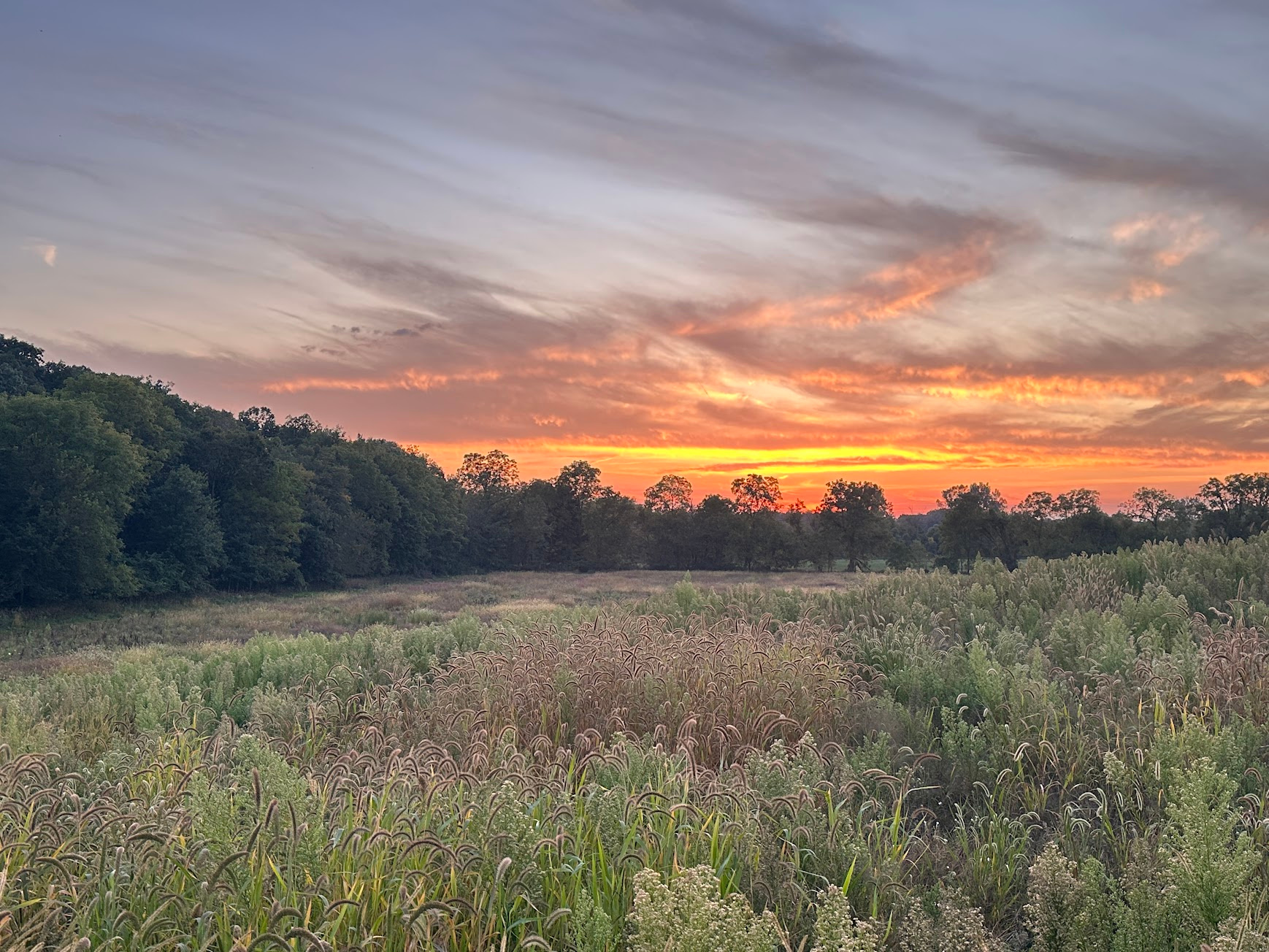 Backwoods River Camp WFBranch StJoe