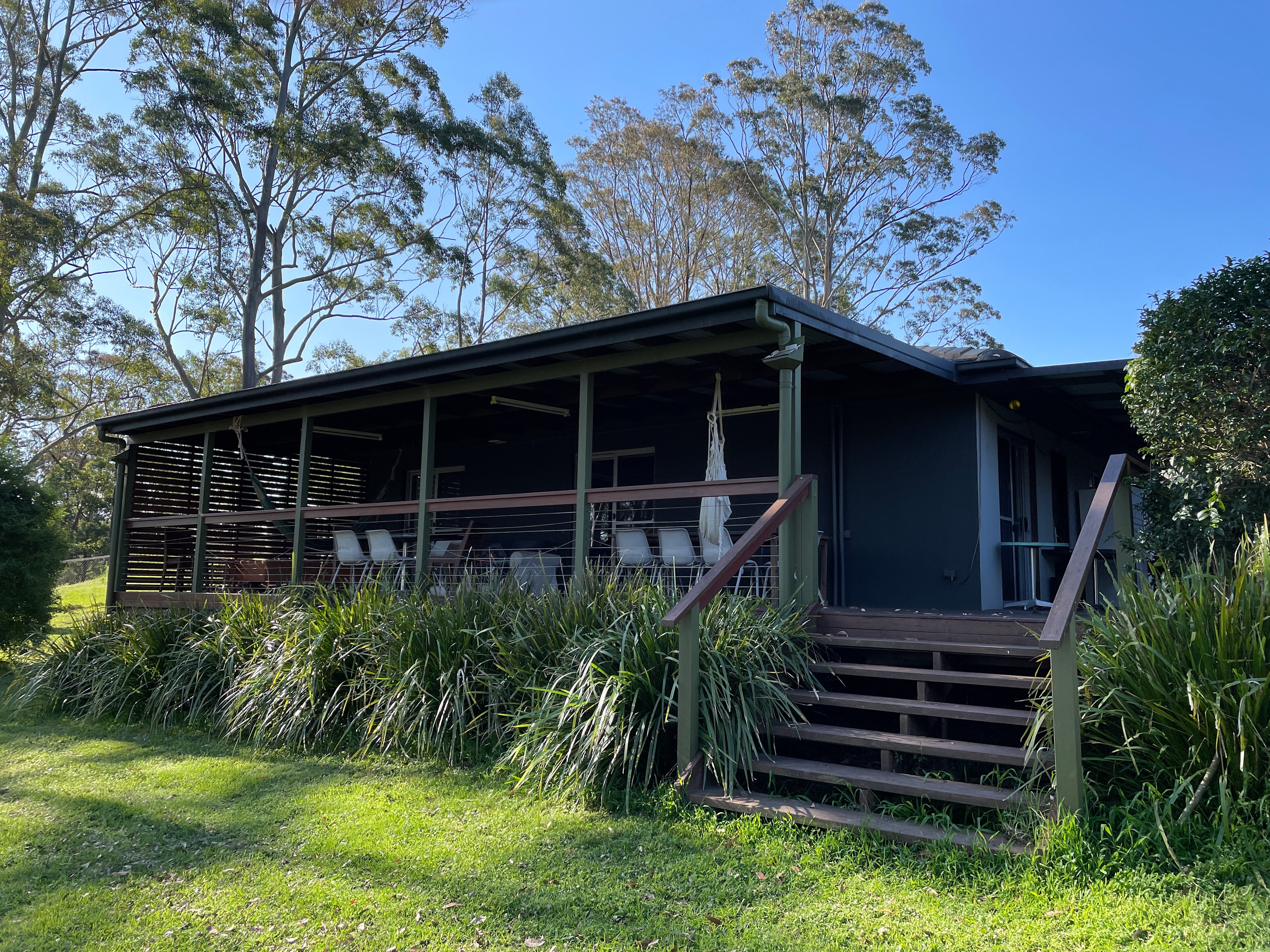 Magical Bush at Murrays Run