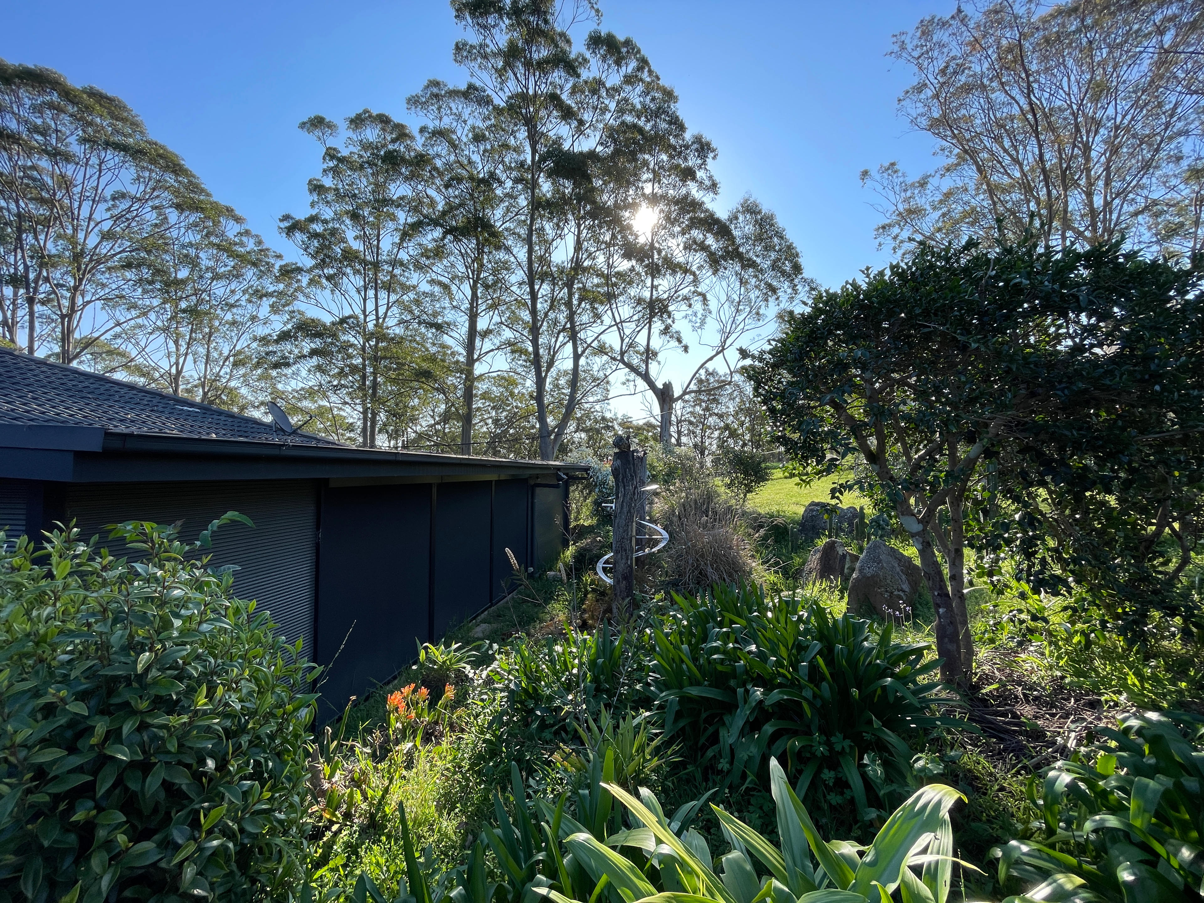 Magical Bush at Murrays Run