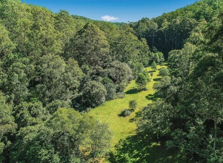 Magical Bush at Murrays Run