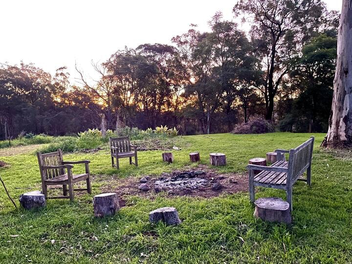 Magical Bush at Murrays Run