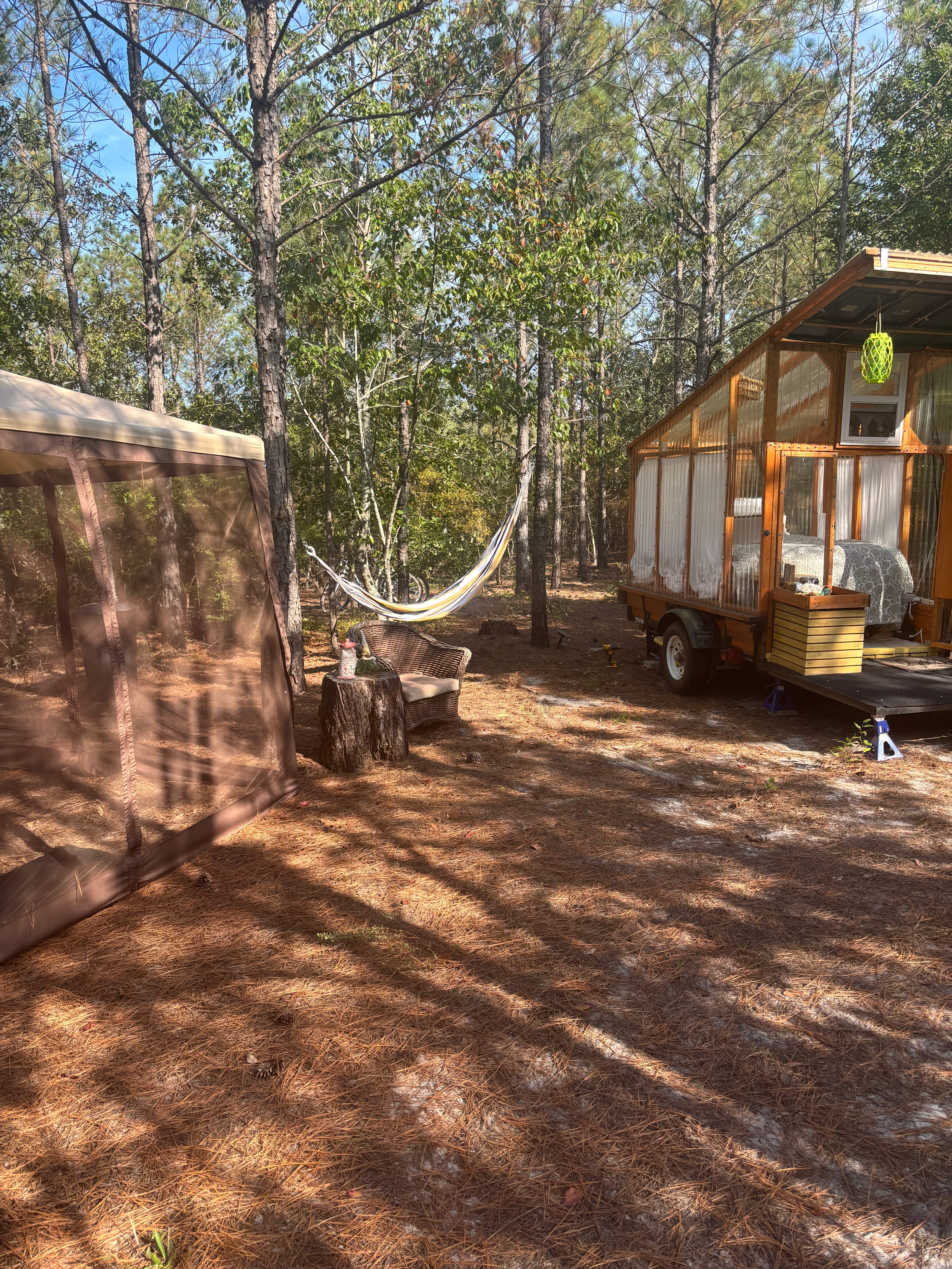 Cozy canopy in the woods
