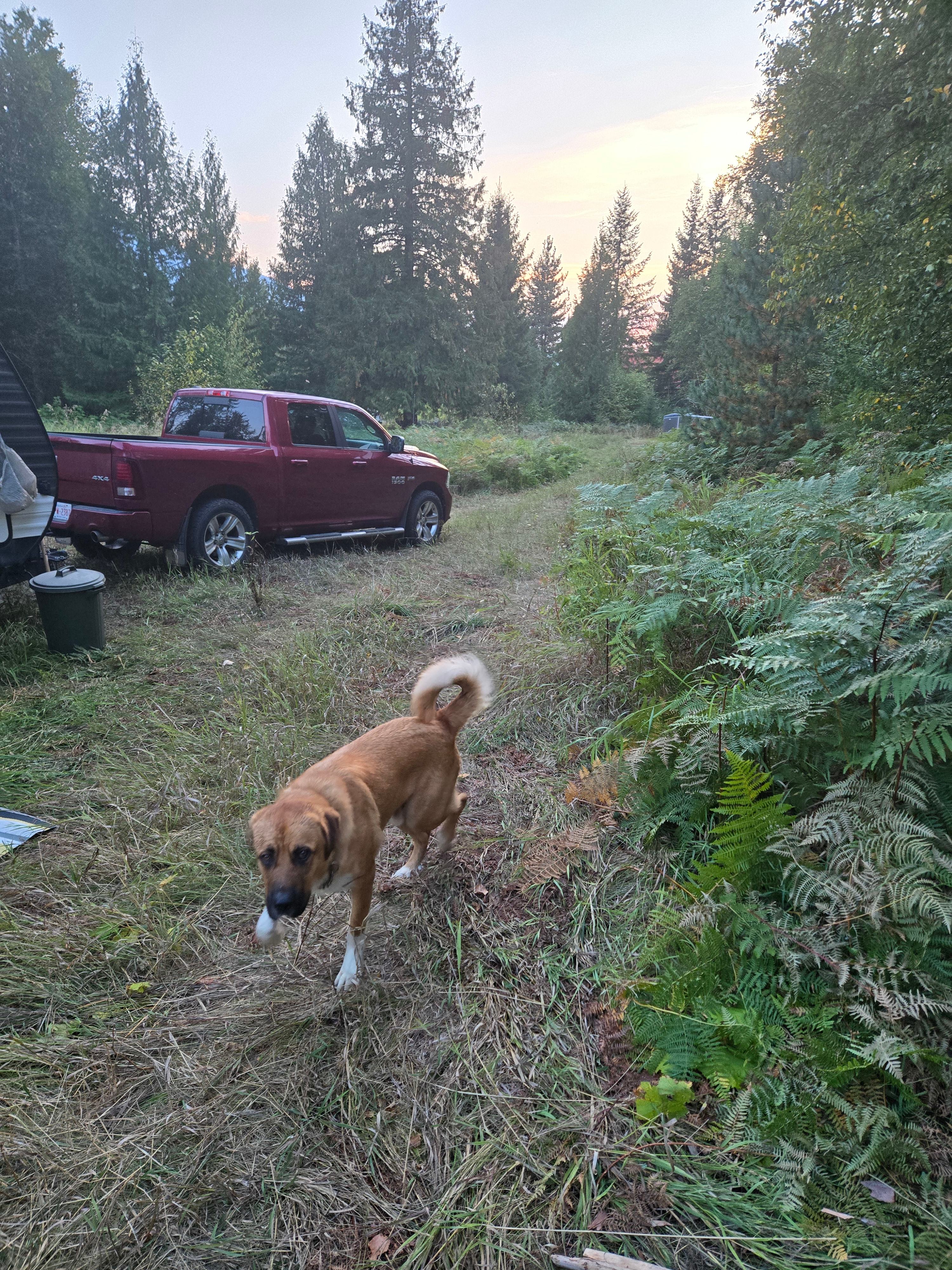 Caribou Creek Market Gardens