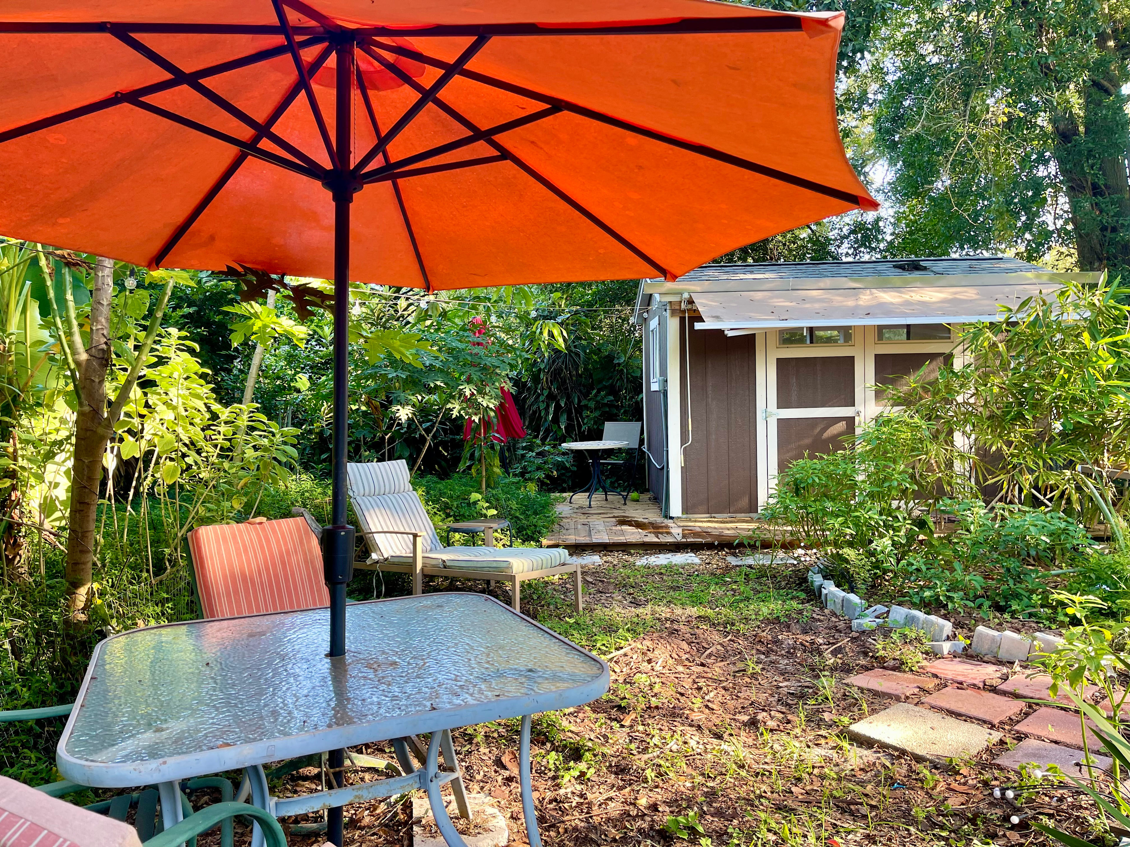 Urban Garden Oasis In Walkable Area