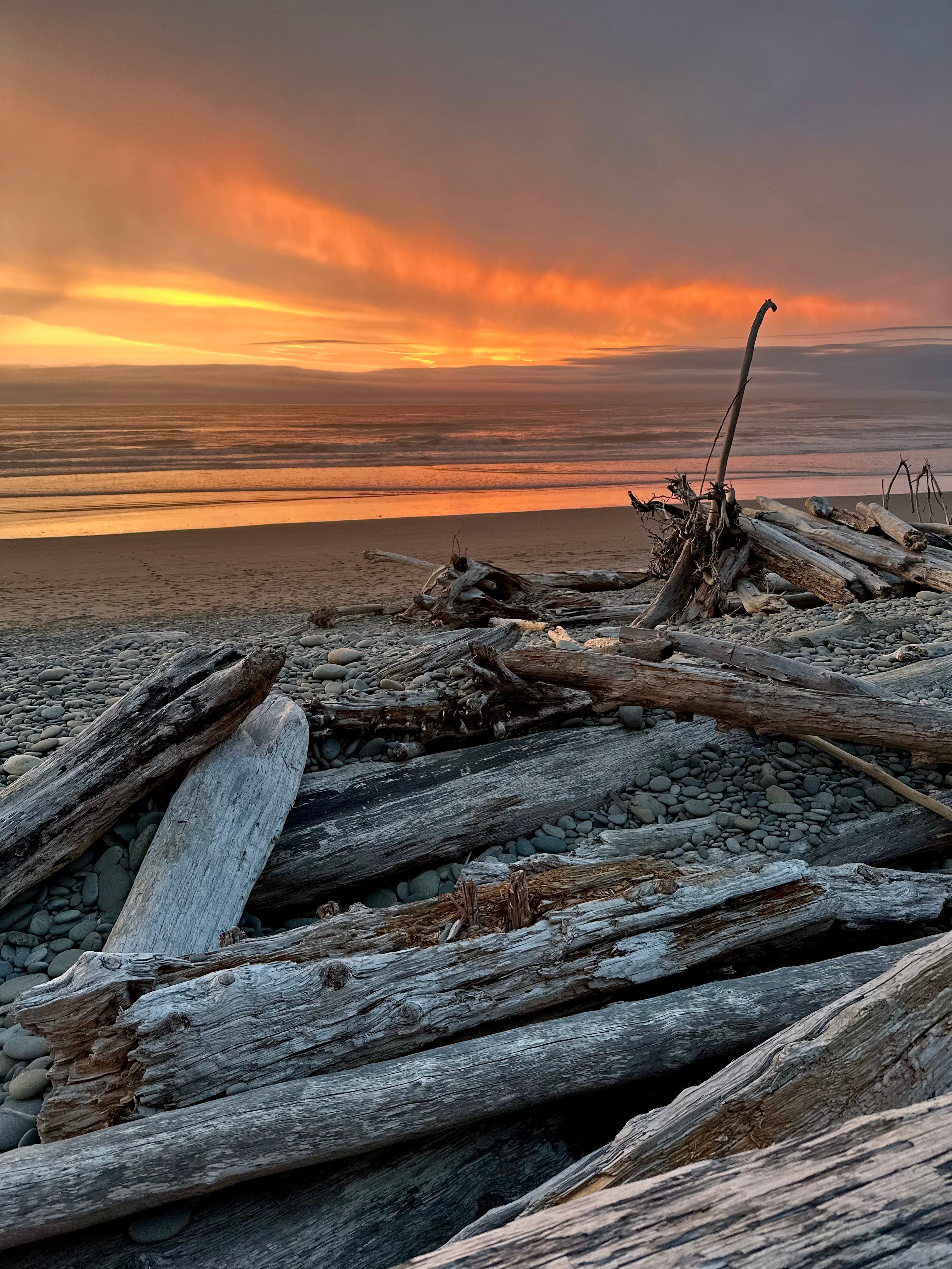 Kalaloch Group Campground