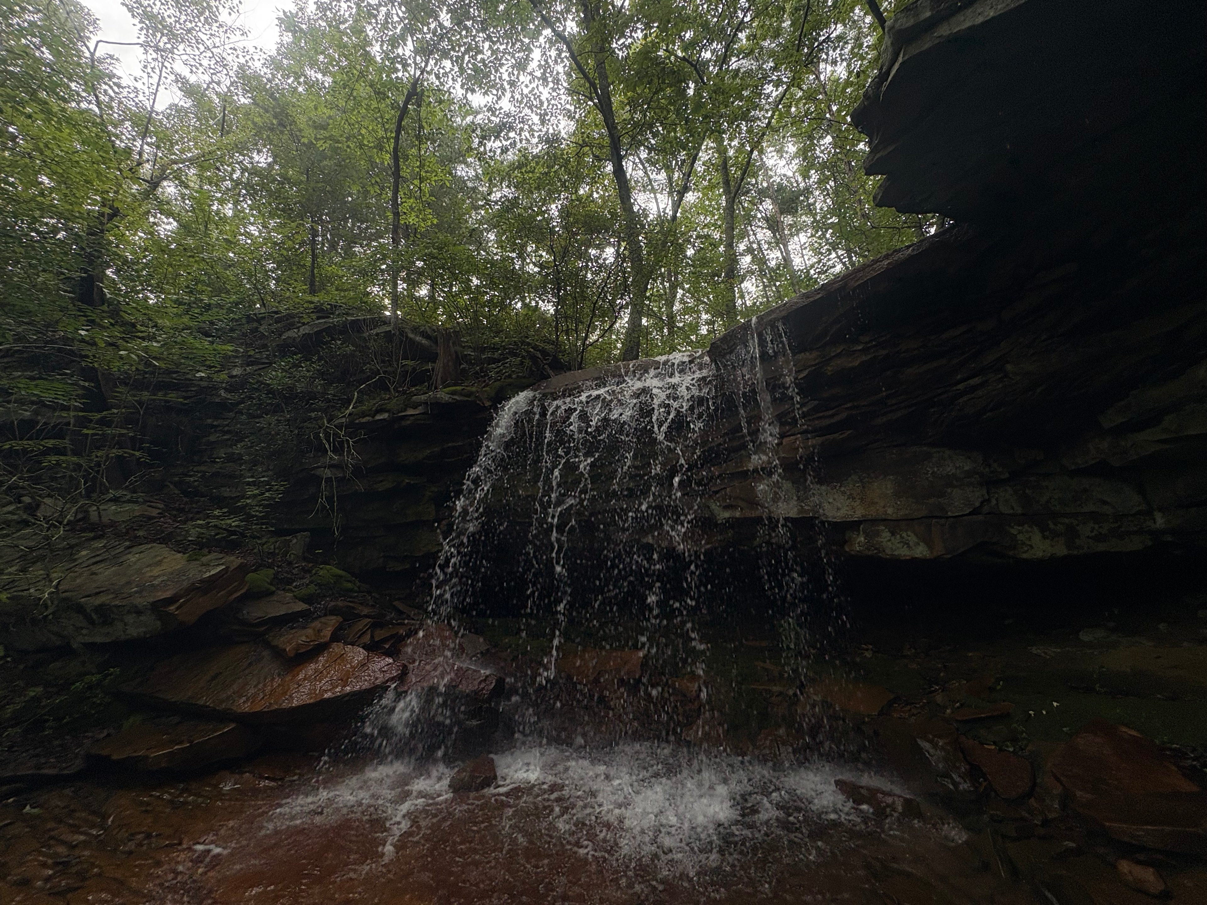 Creekside Bluff Primitive Camping