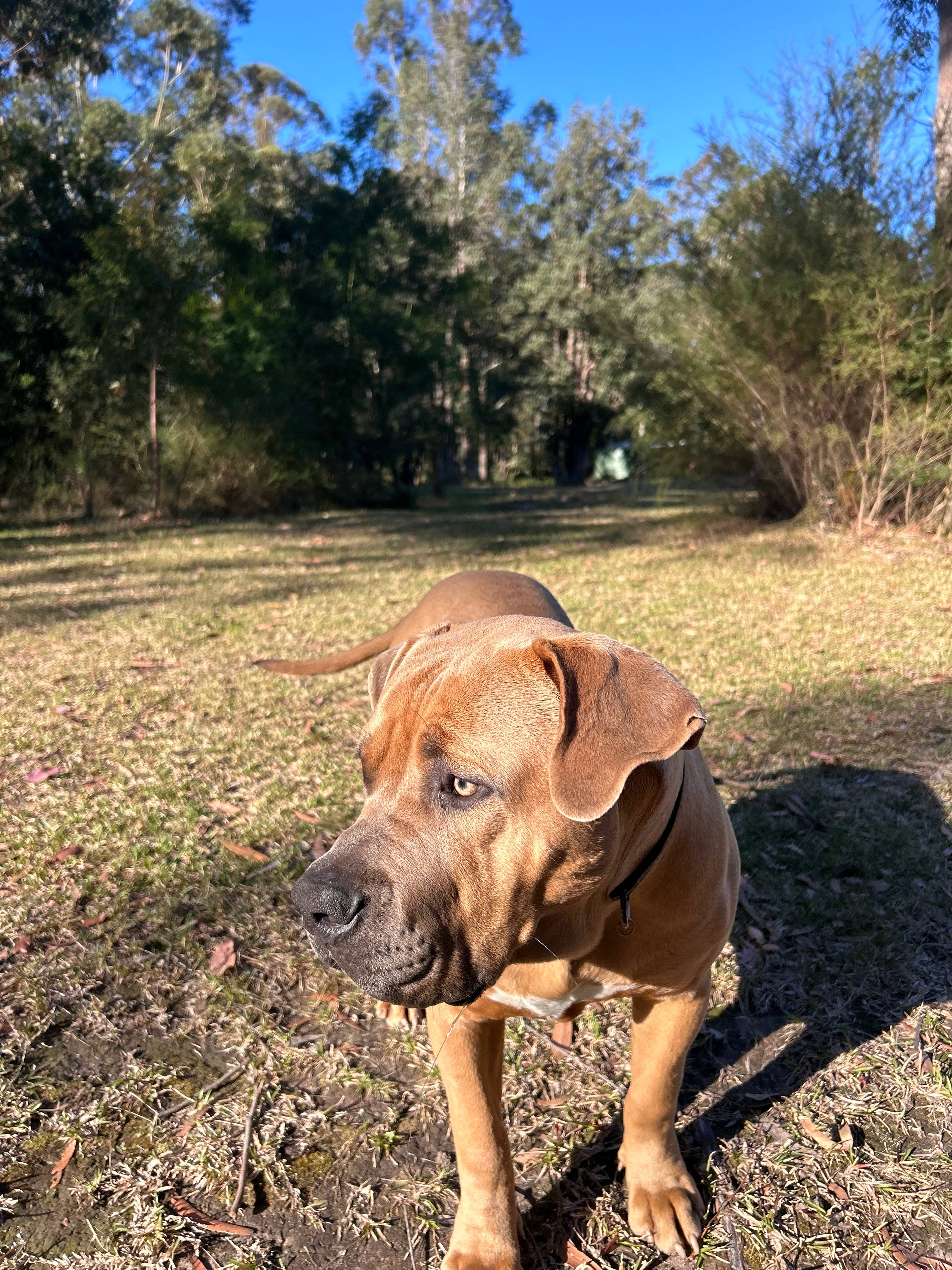 Woodenhead Experiences