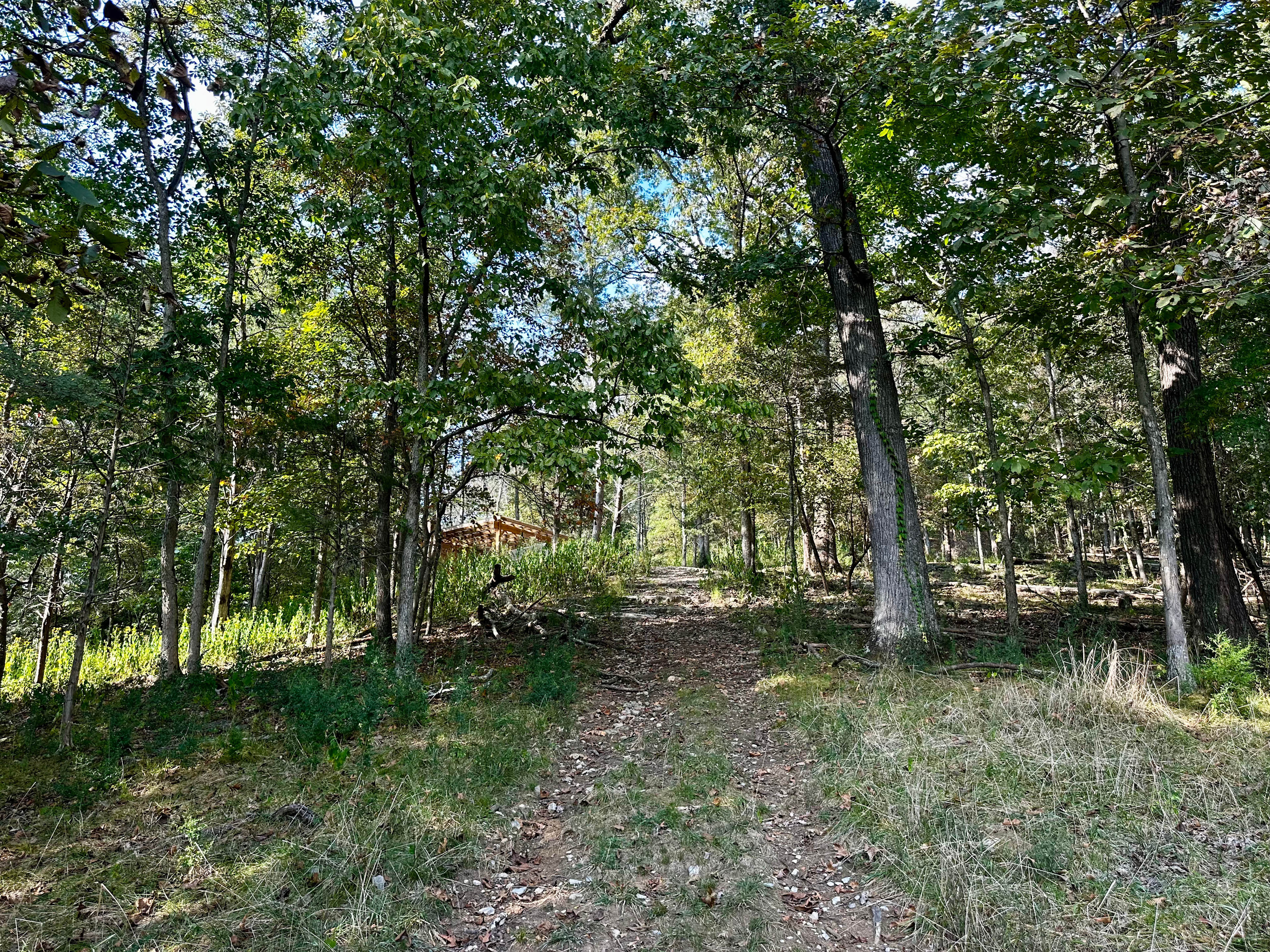 Quail Run Farm