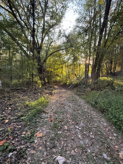 Sacred Tree Sanctuary in Newark, OH