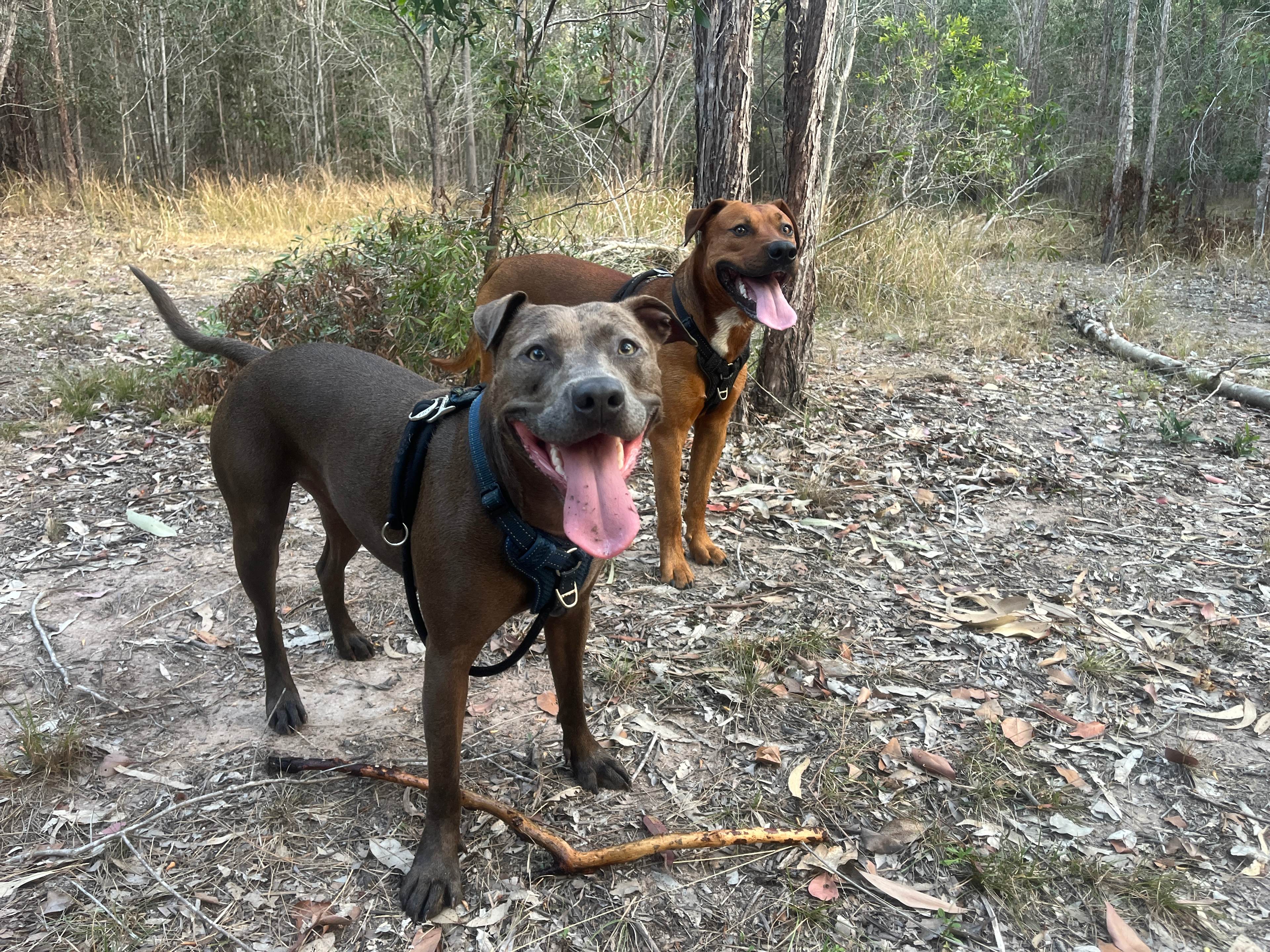 TerraLyra Camping & Retreat